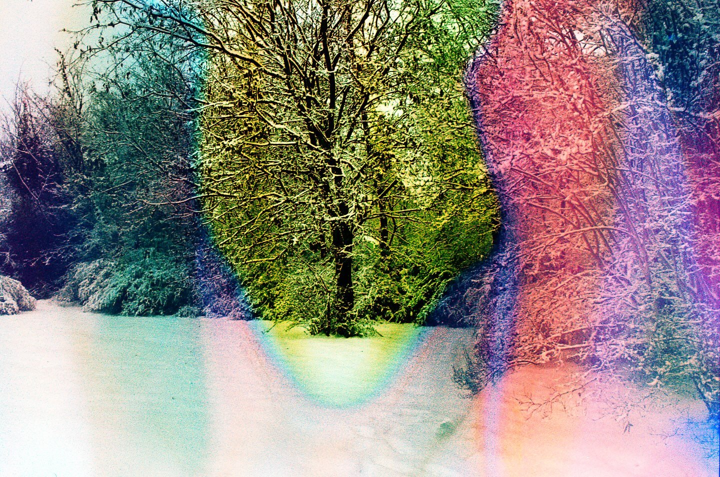 a secret garden
in between two different worlds - 
the liminal space. 

📸 nikon f100.
🎞️ kodak gold. @kodak 
🥣 souped in fresh snow, red and blue berries gathered while outside, clementines, a cinnamon stick, and fresh rosemary. 
🧪 developed by @
