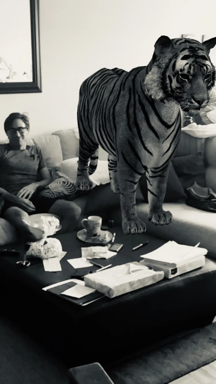 Holy Sh*t - Notes on 2020, Vol. 6