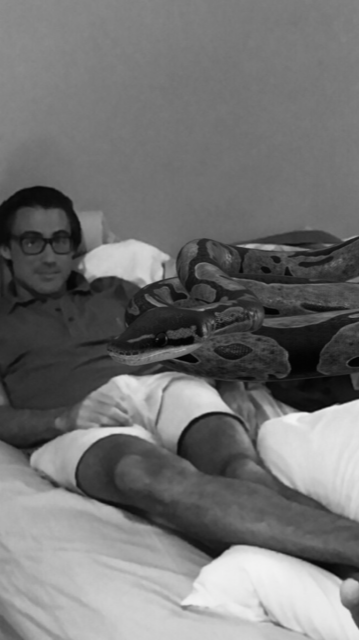 Holy Sh*t - Notes on 2020, Vol. 9