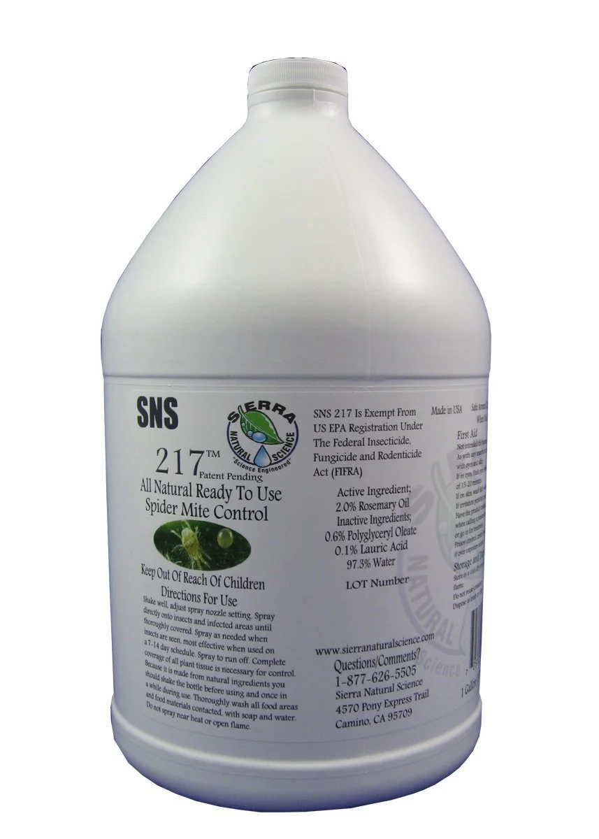 SNS 217.jpg