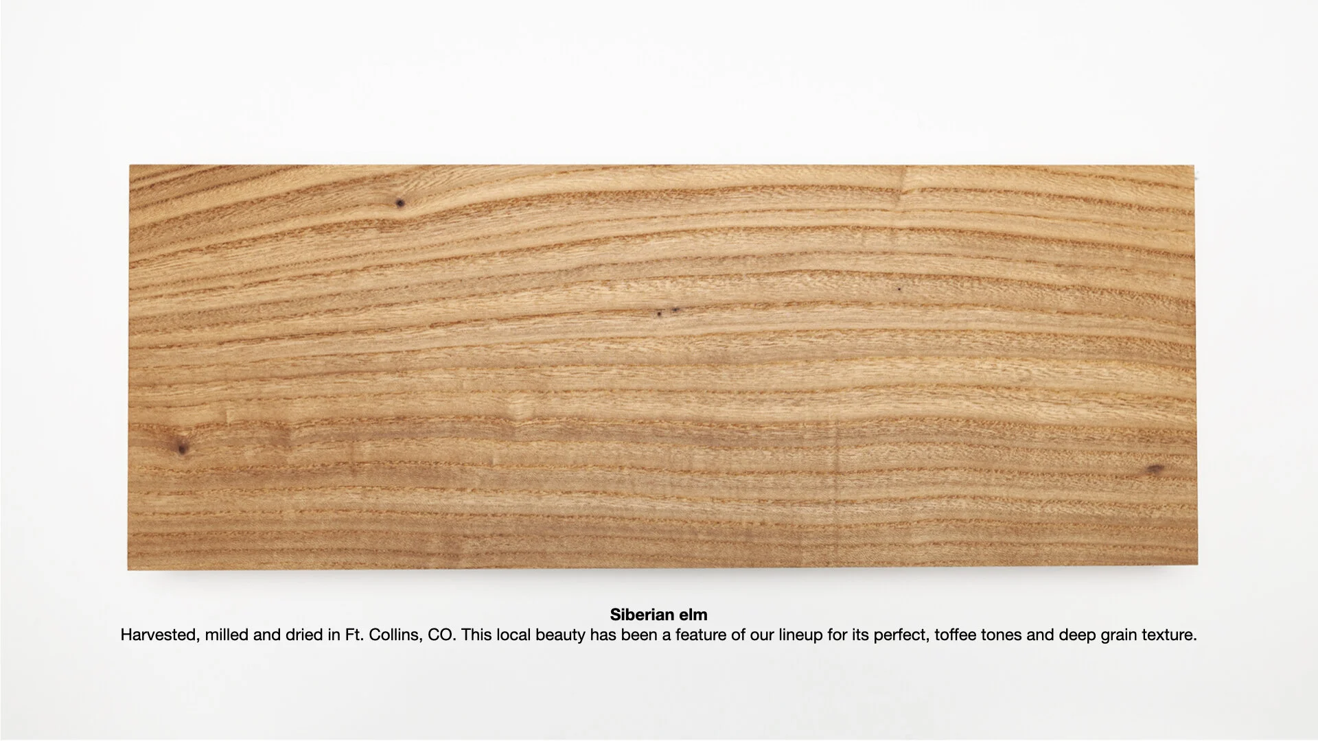 Keynote Exports.002.jpeg