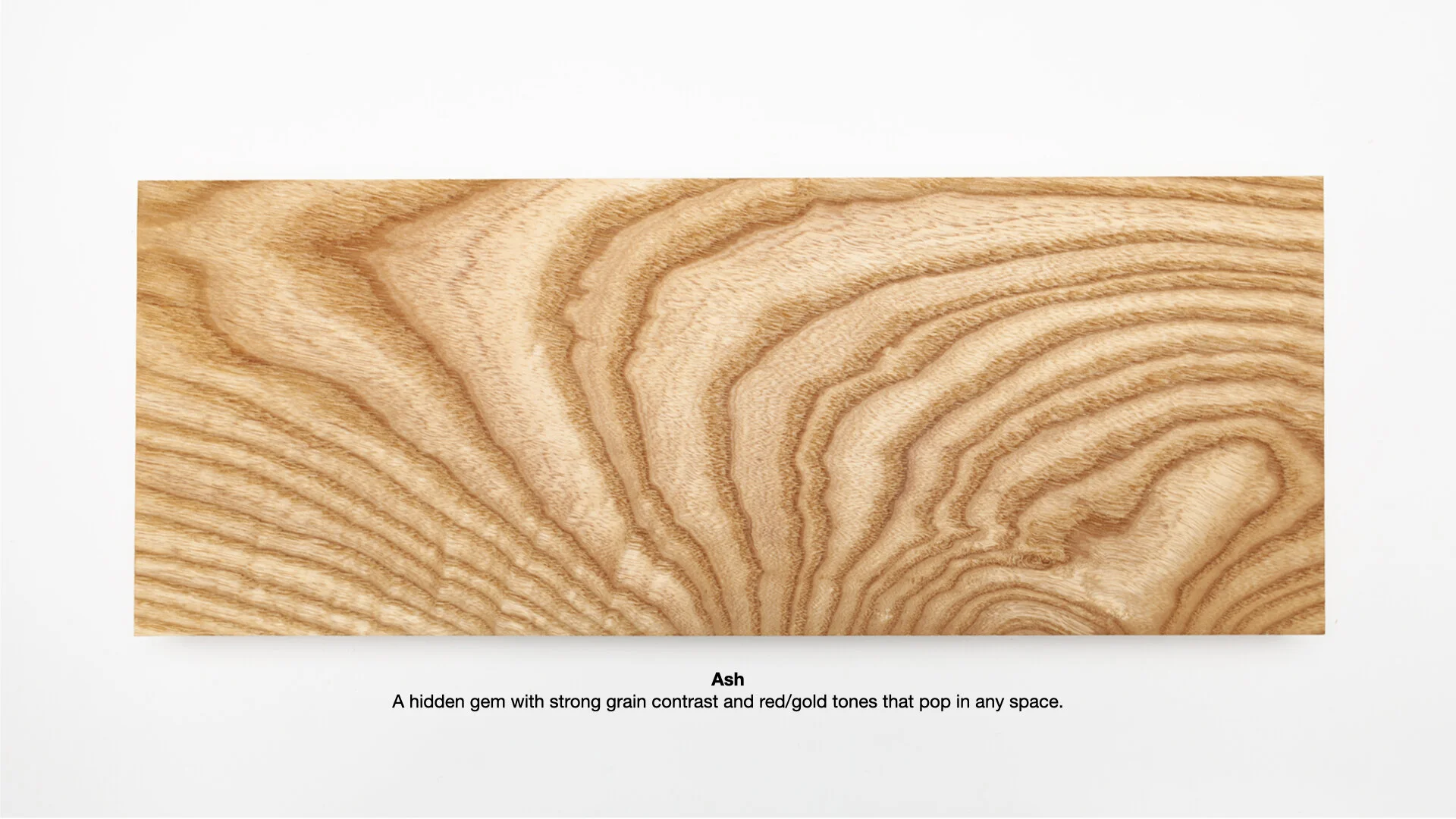 Keynote Exports.003.jpeg