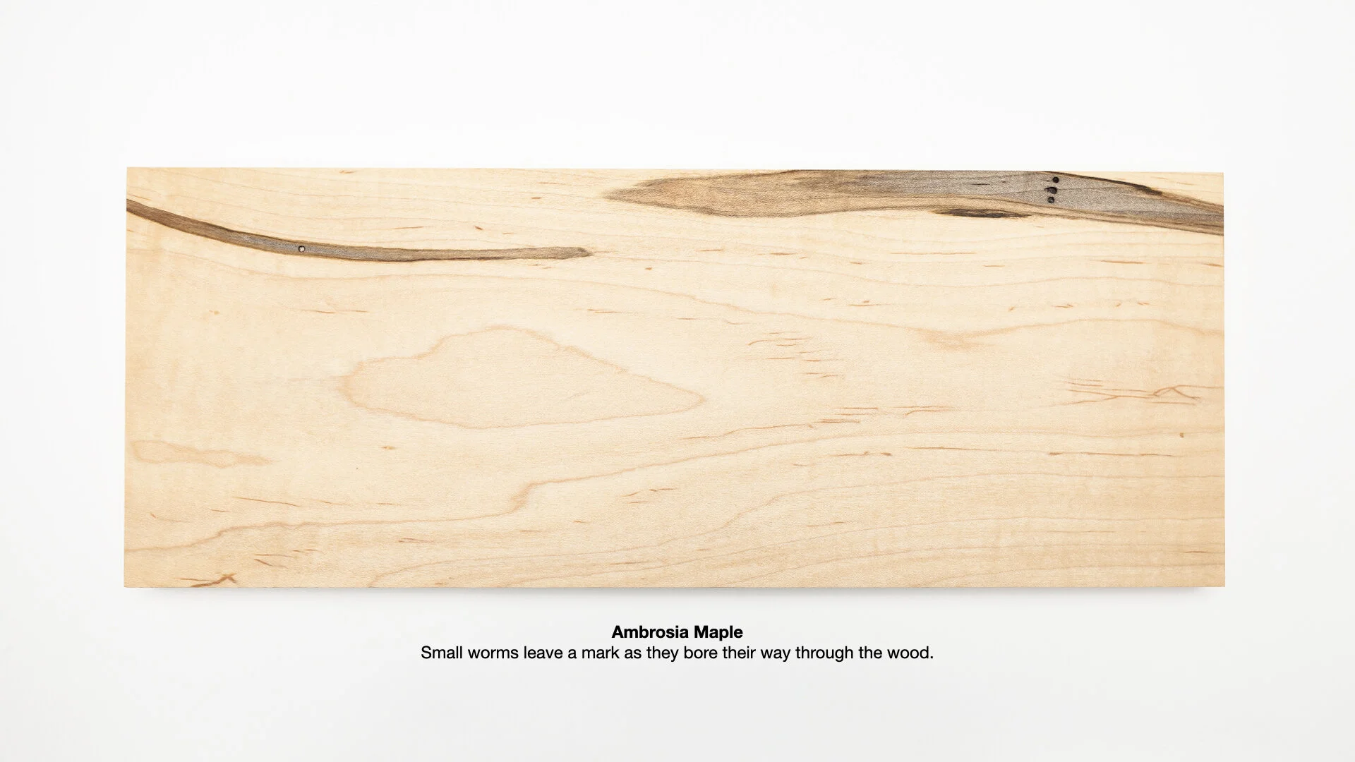 Keynote Exports.008.jpeg