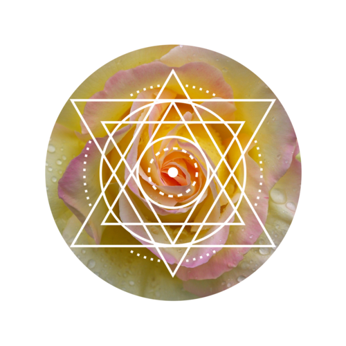 image-asset-1.png
