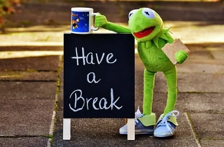 kermit-1899259__340 copia.jpg