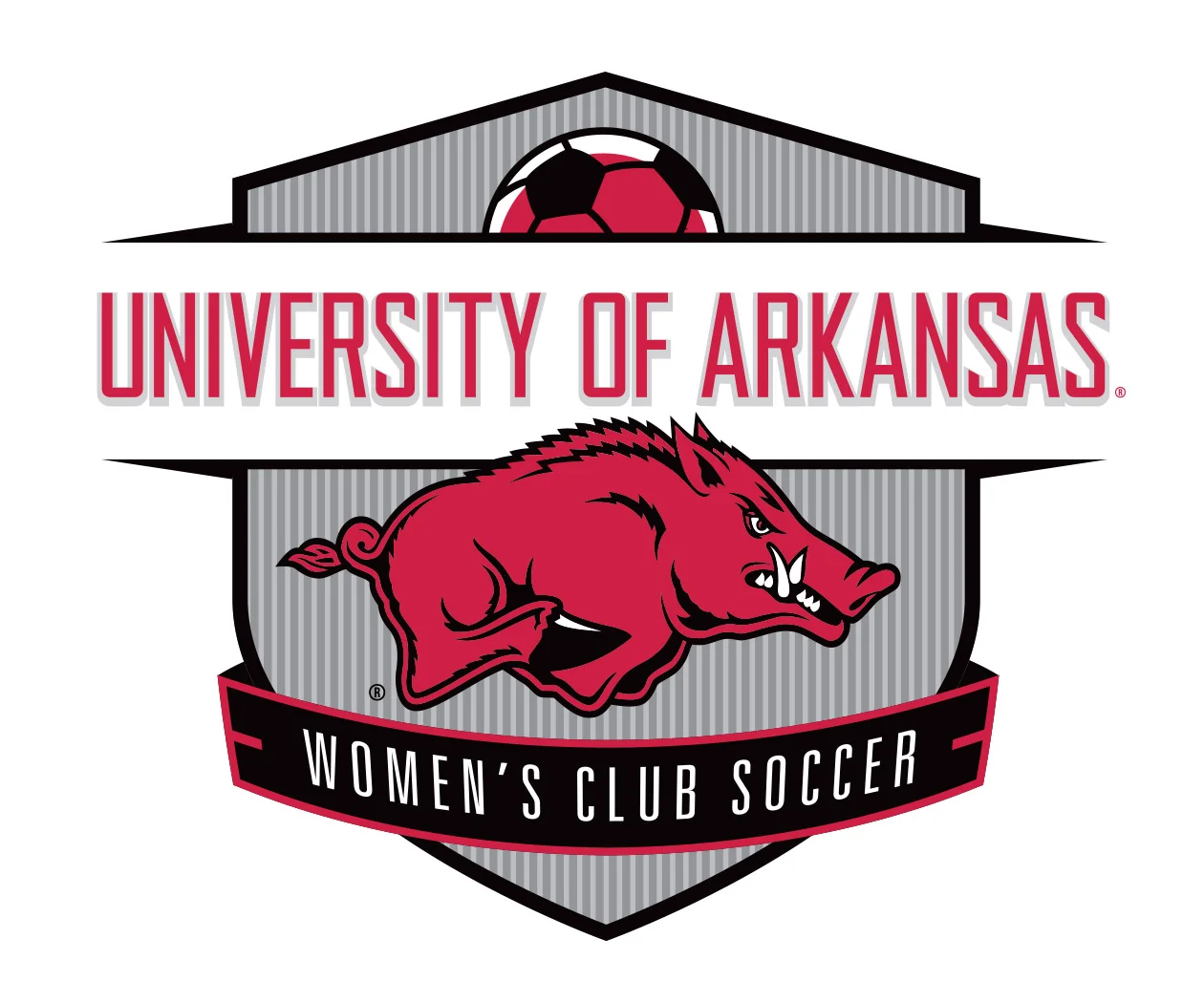 testimonial-for-the-custom-sports-logo-design-for-the-university-of-arkansas-womens-club-soccer-by-jordan-fretz.jpg