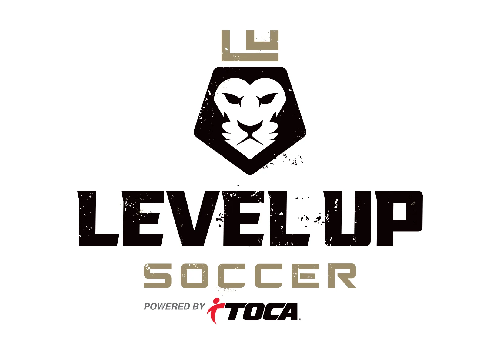 custom-soccer-logo-design-for-level-up-soccer-academy-1.jpg