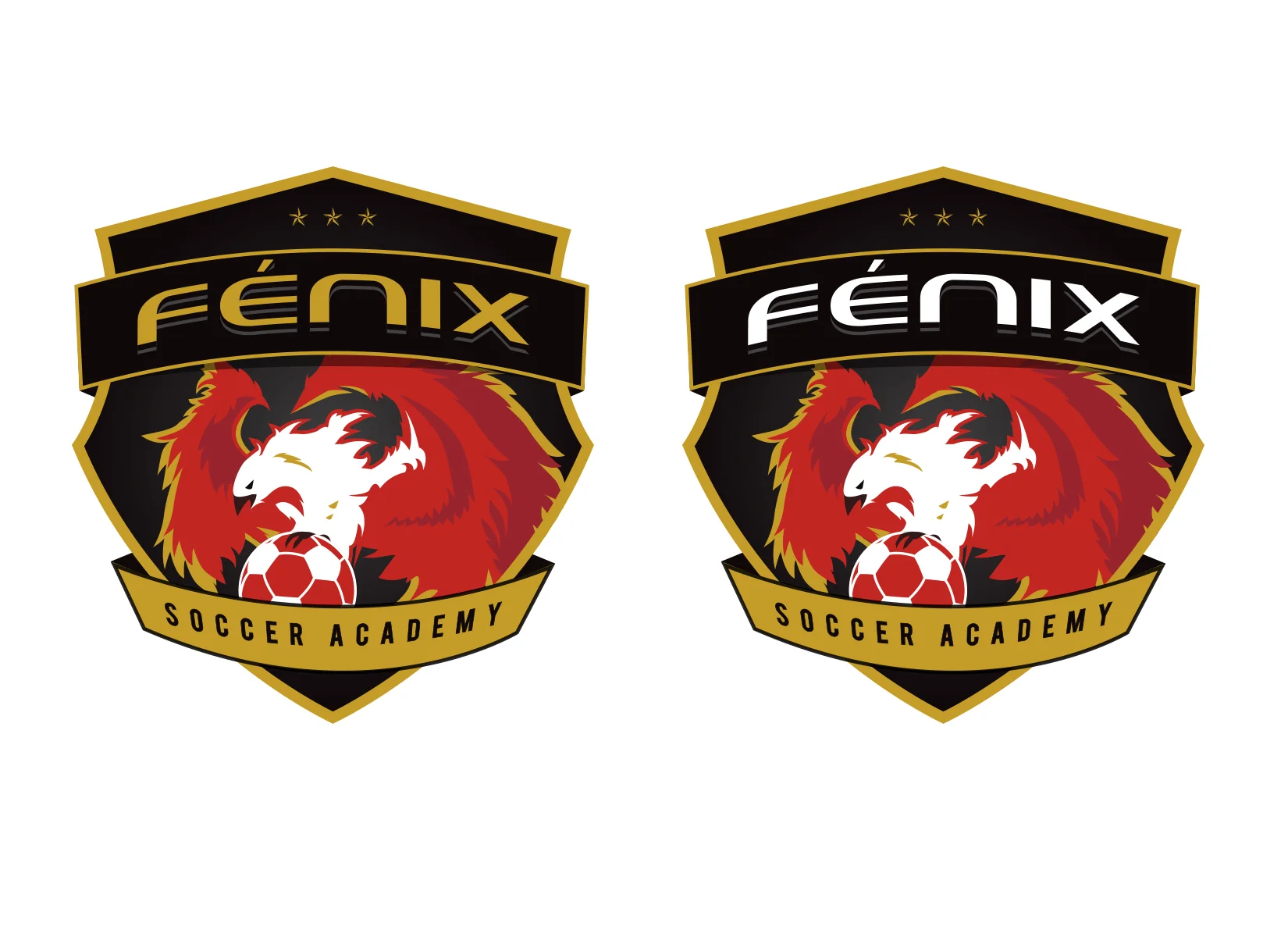 fenix-soccer-academy-custom-soccer-crest-designs-by-jordan-fretz-2.jpg