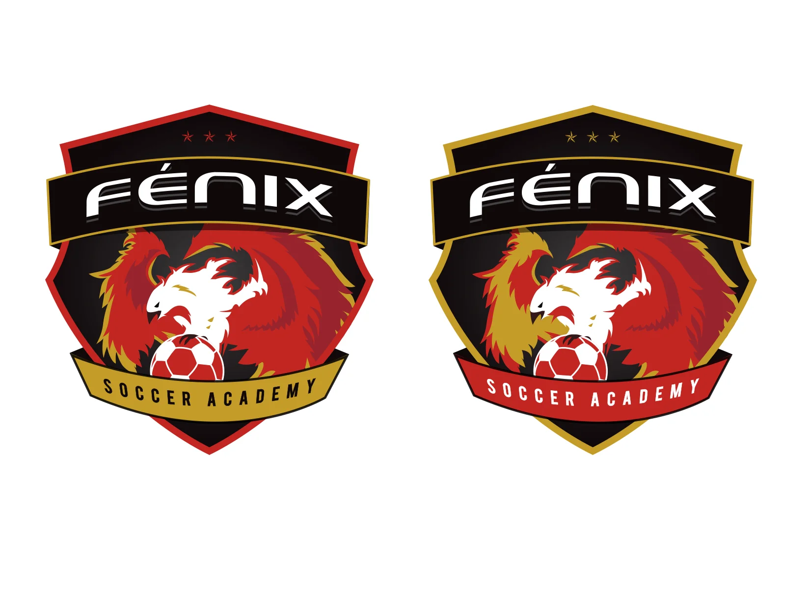 fenix-soccer-academy-custom-soccer-crest-designs-by-jordan-fretz-11.jpg