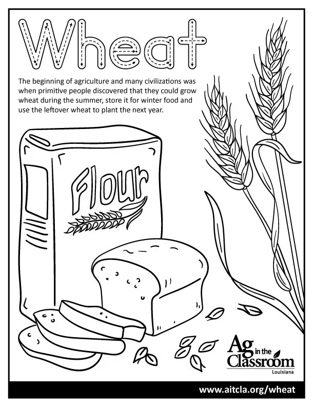 flour coloring pages