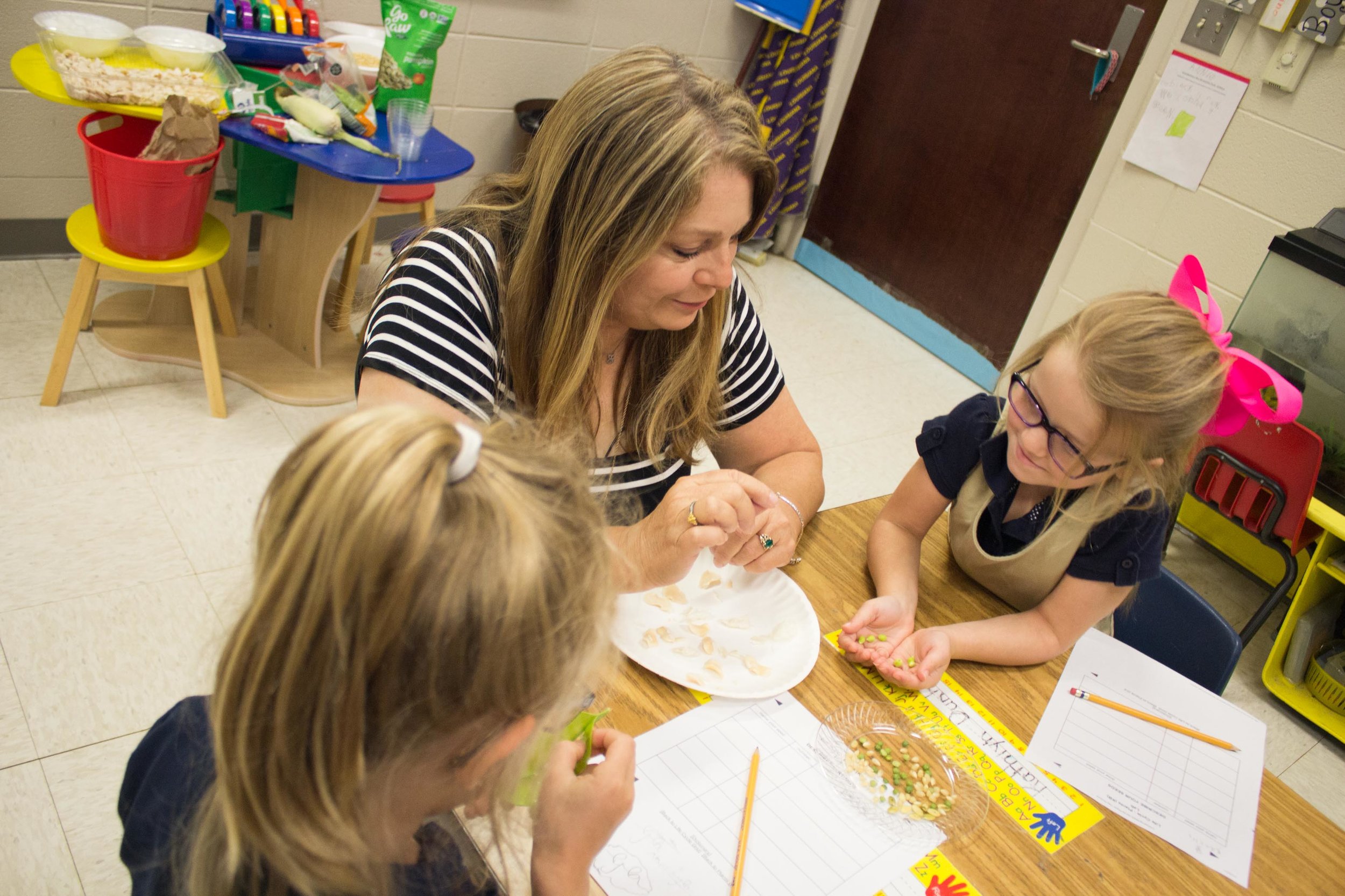 Parrino, the 2017 AITC Elementary Teacher of the Year, has her students explore the insides of a seed, to learn where their food comes from. Photo by Monica Velasquez. 