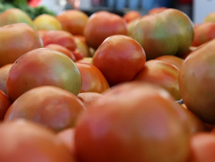 SquarespaceImage19-Tomato01.jpg
