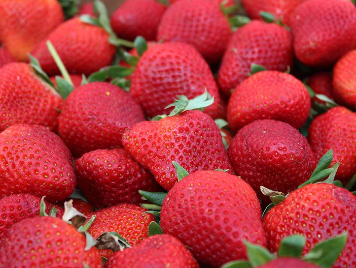 SquarespaceImage19-Strawberry01.jpg