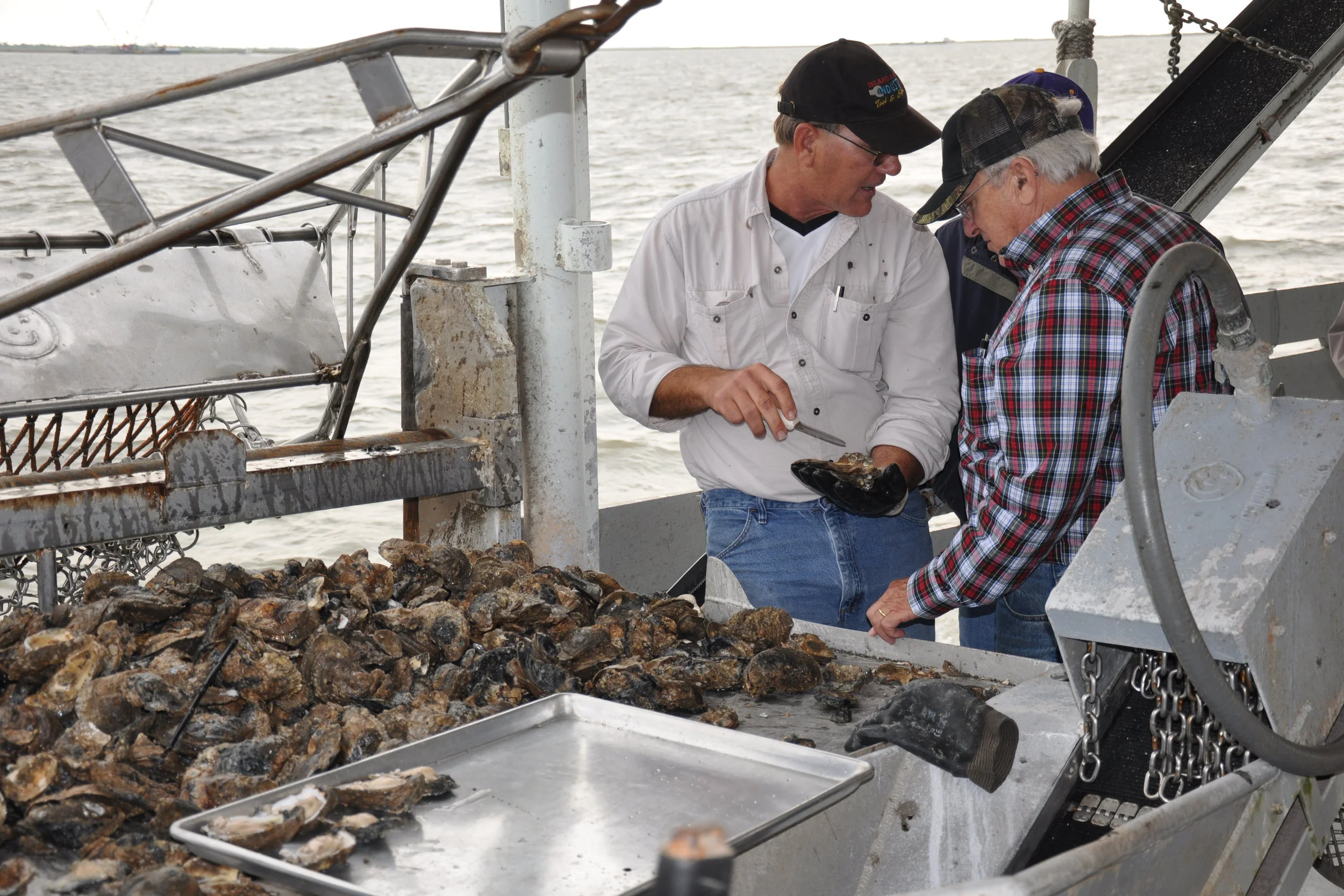 Oysters — Louisiana Ag in the Classroom