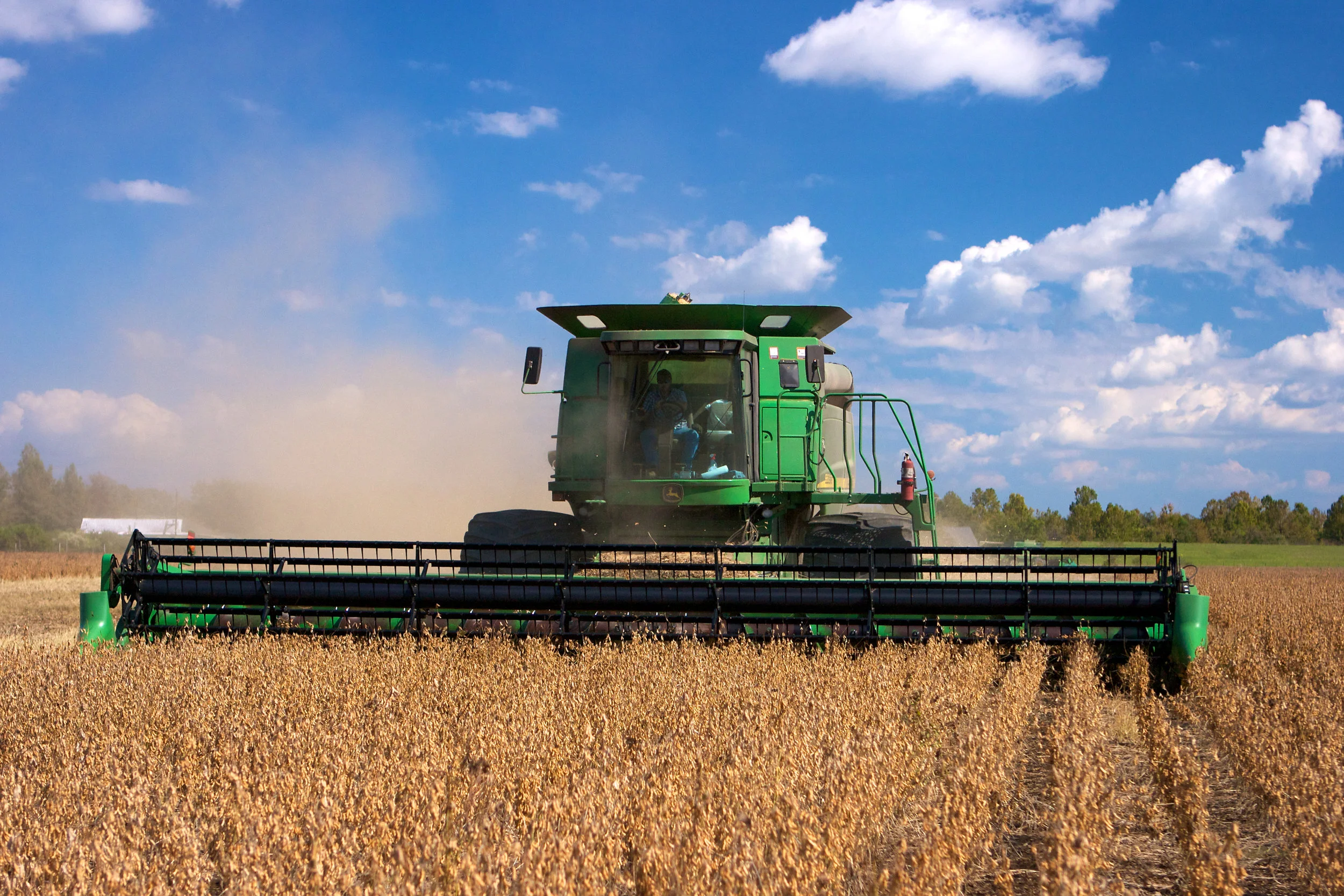 SquarespaceImage19-soybeans-harvesting.jpg
