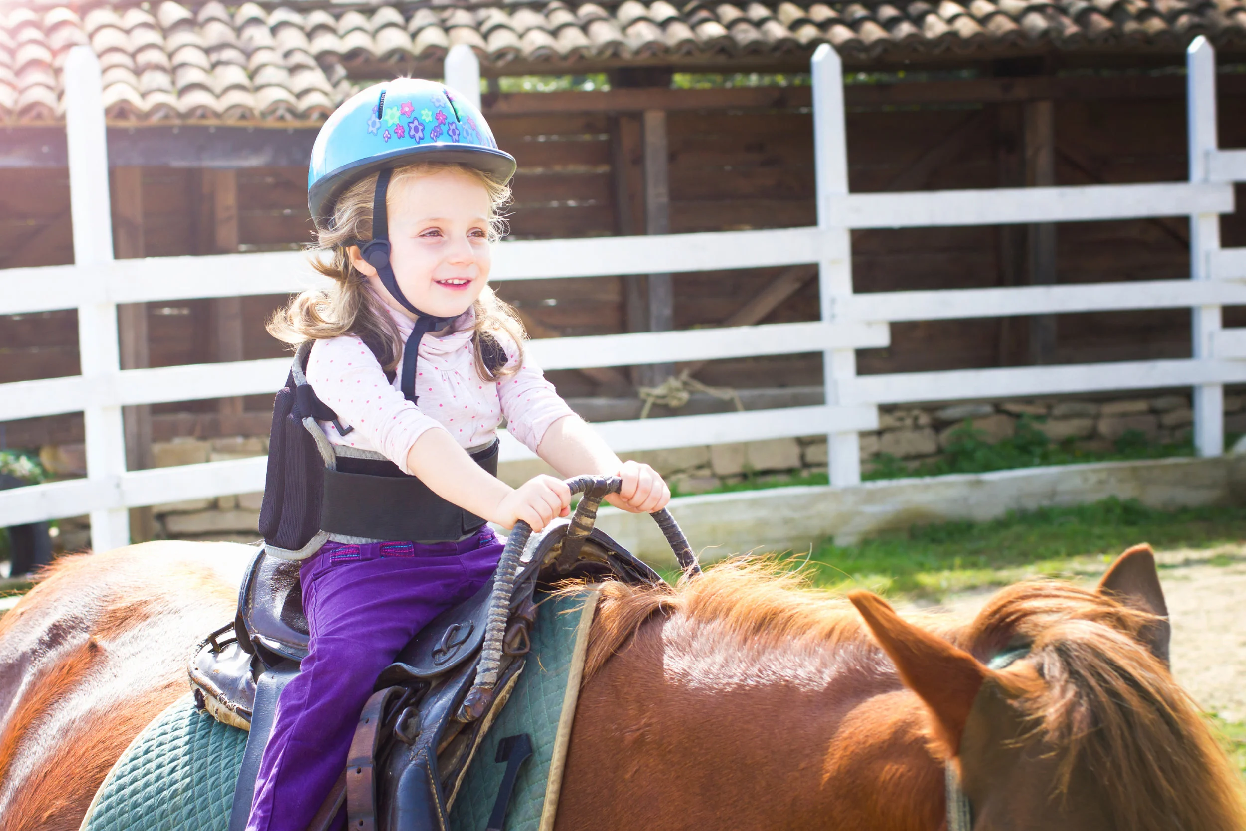 SquarespaceImage19-horses-therapy.jpg