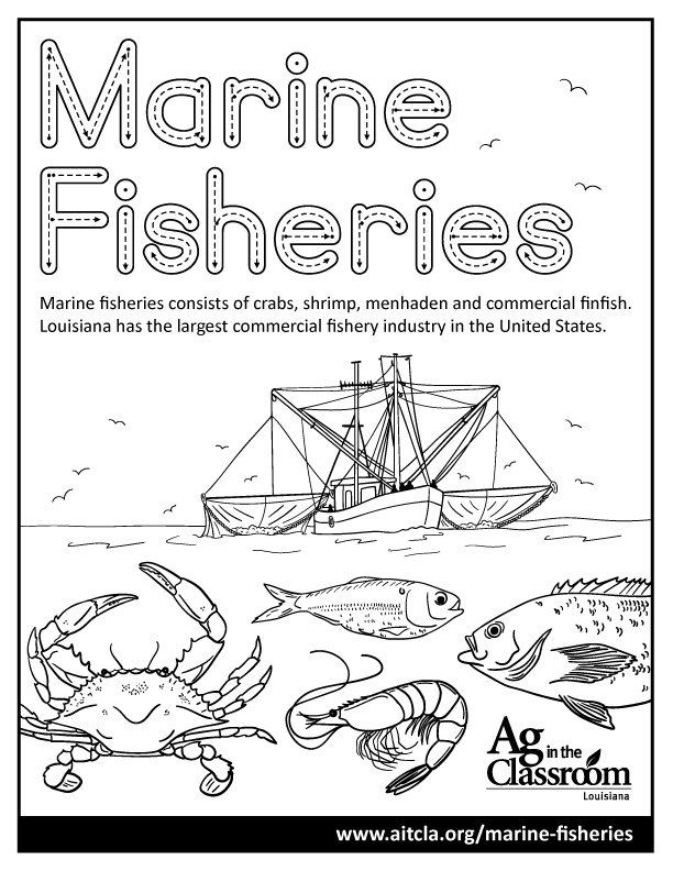 Marine-Fisheries.jpg