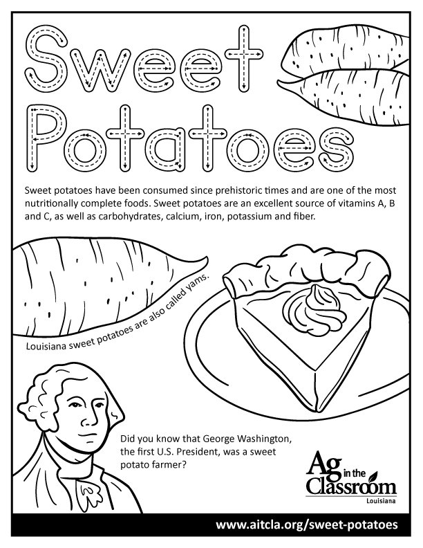 Sweet-Potatoes.jpg
