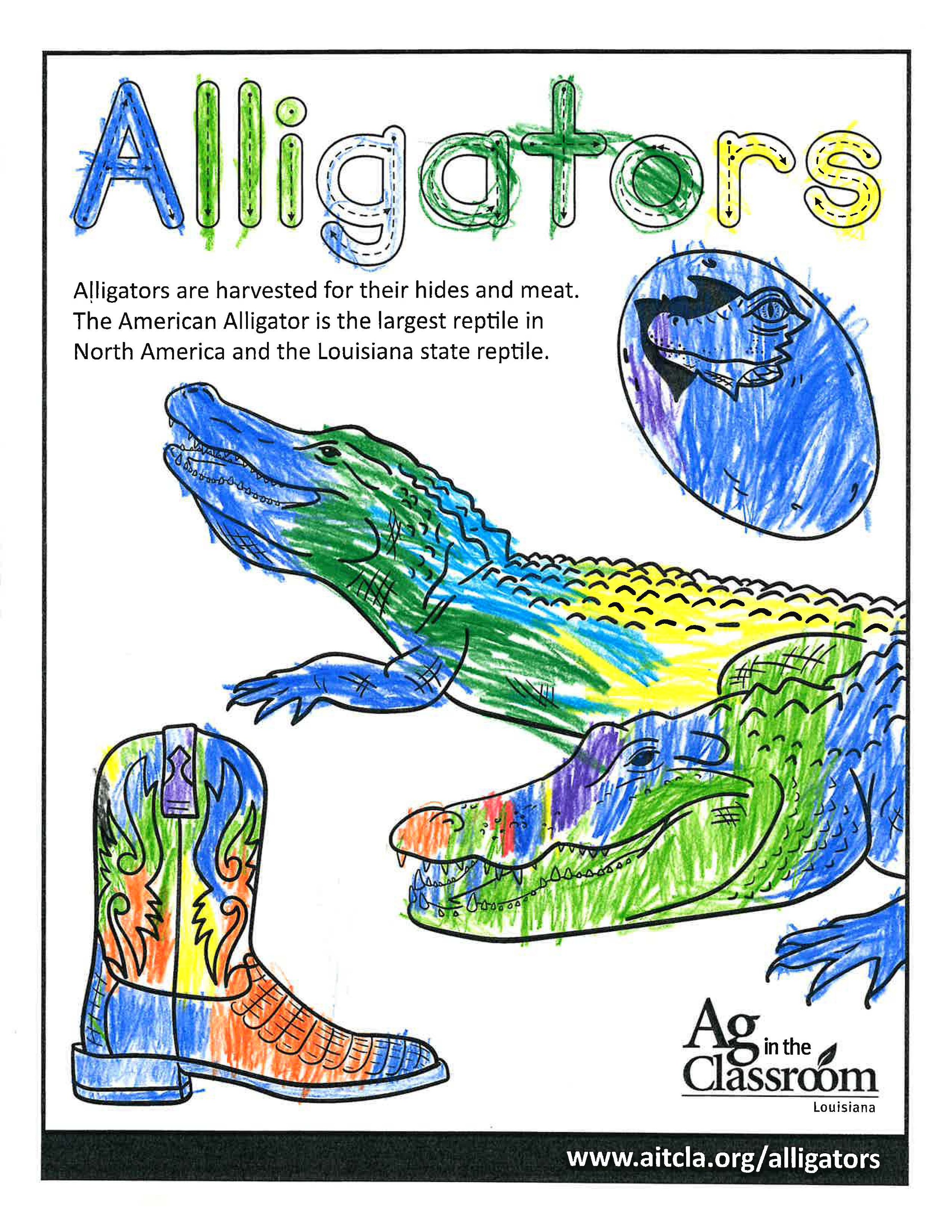 Alligators_LouisianaAgWeek2024_Page_02.jpg