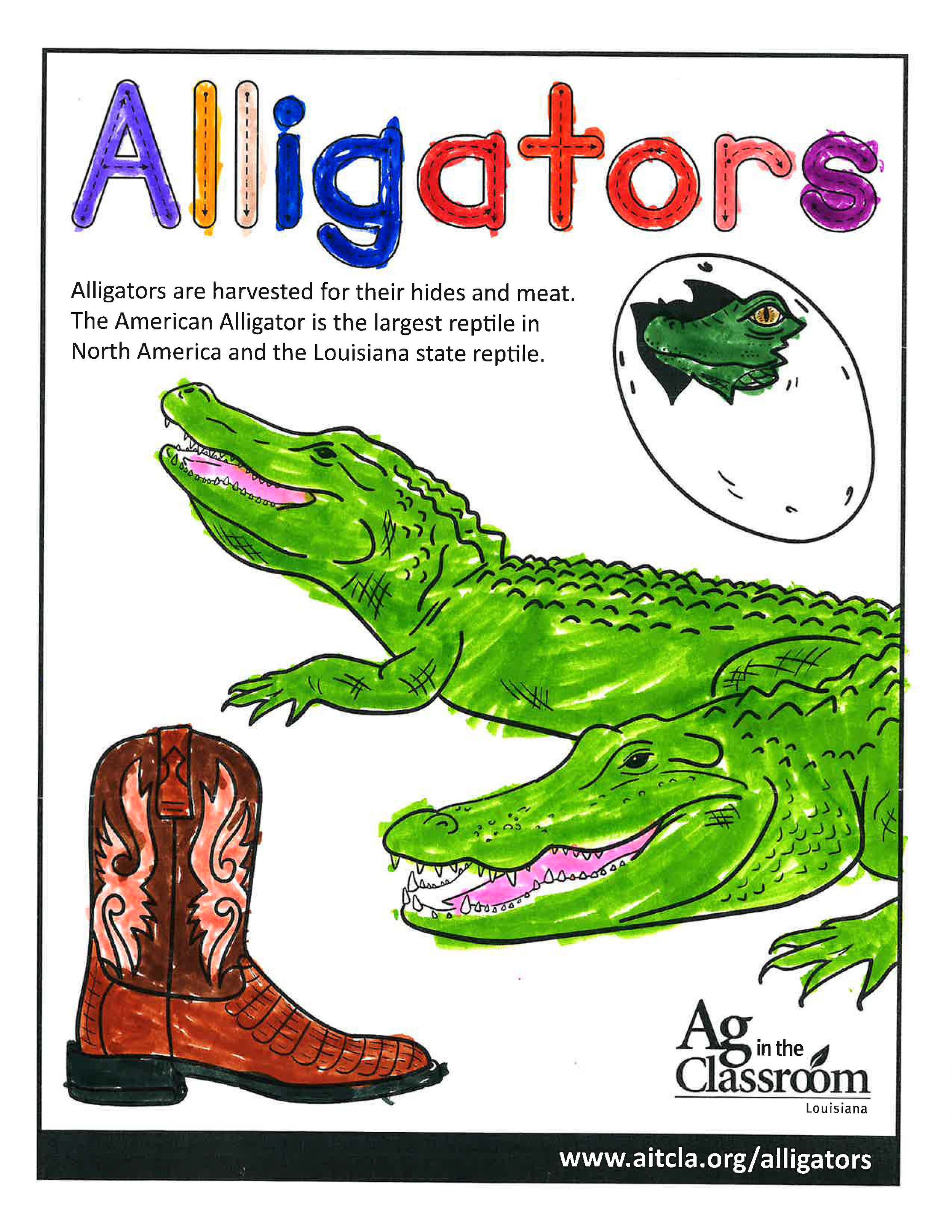 Alligators_LouisianaAgWeek2024_Page_03.jpg