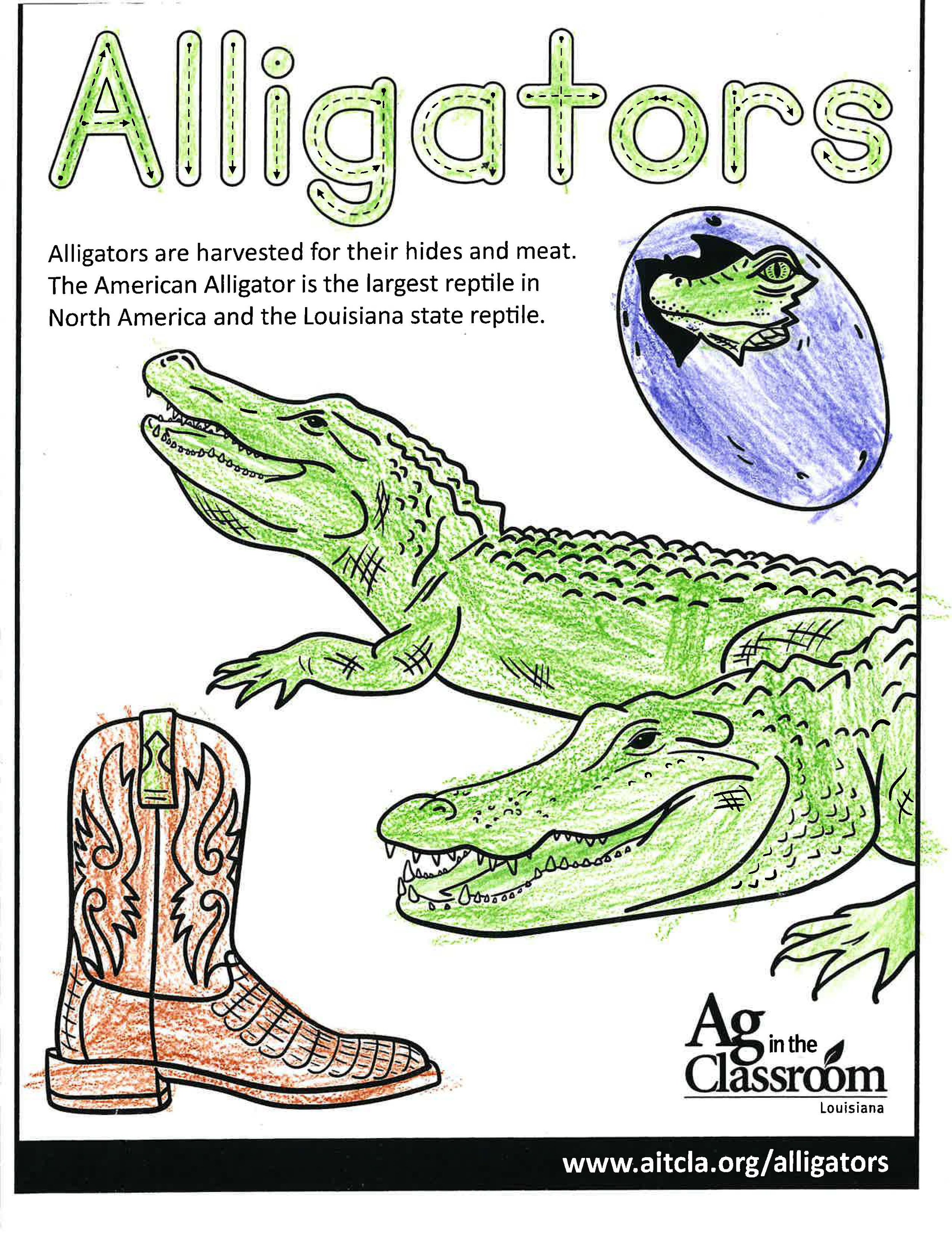Alligators_LouisianaAgWeek2024_Page_05.jpg