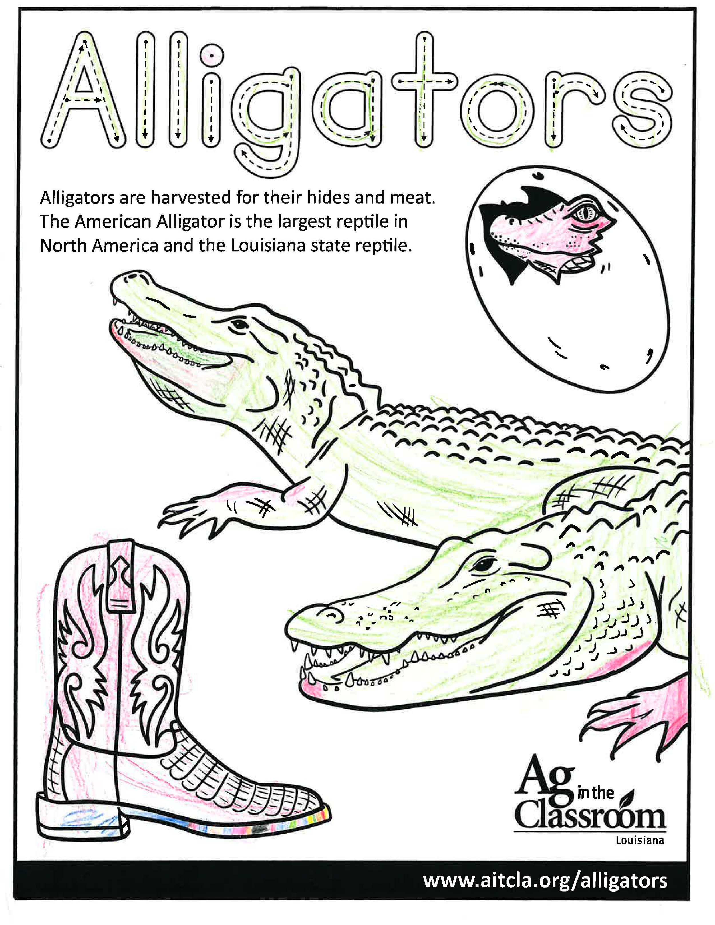 Alligators_LouisianaAgWeek2024_Page_06.jpg