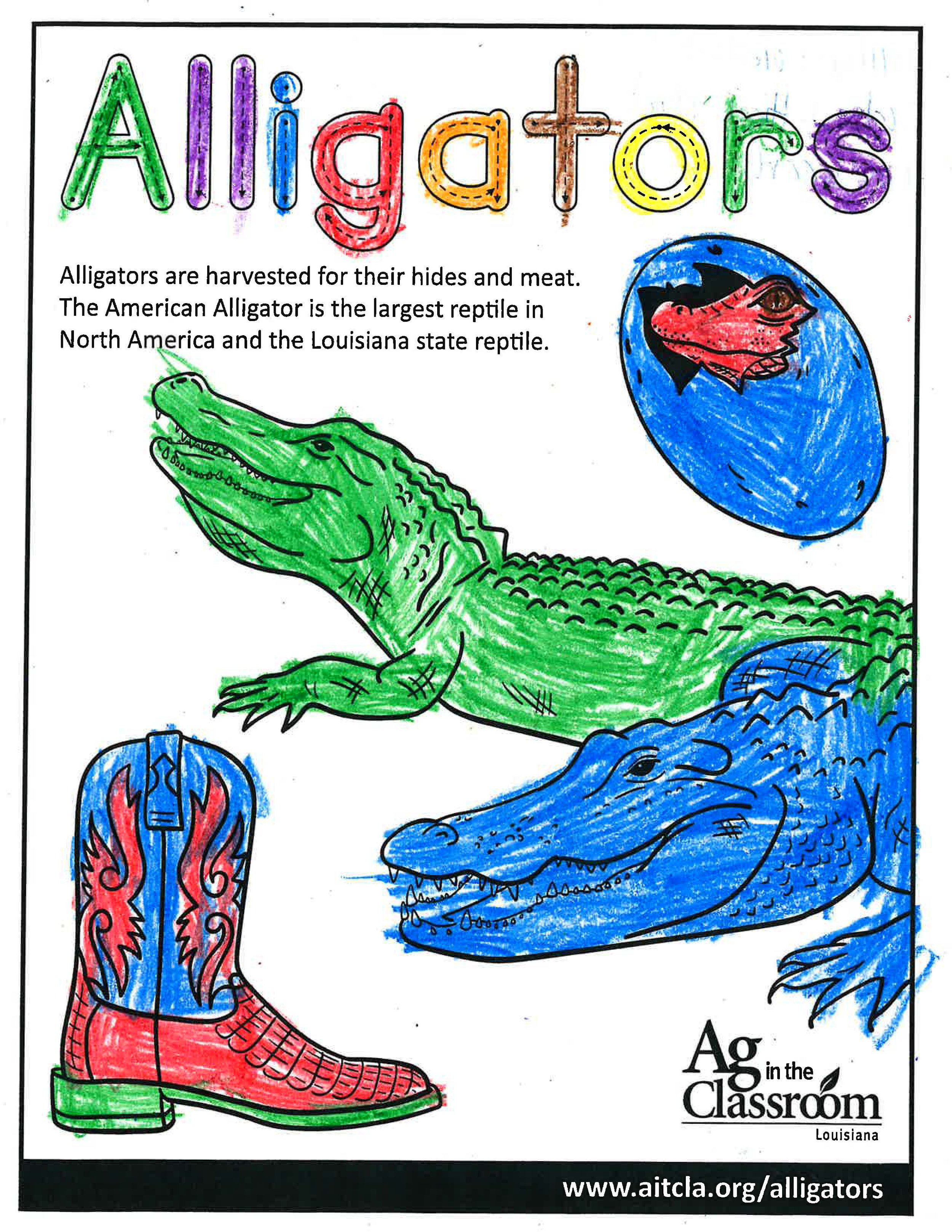 Alligators_LouisianaAgWeek2024_Page_07.jpg
