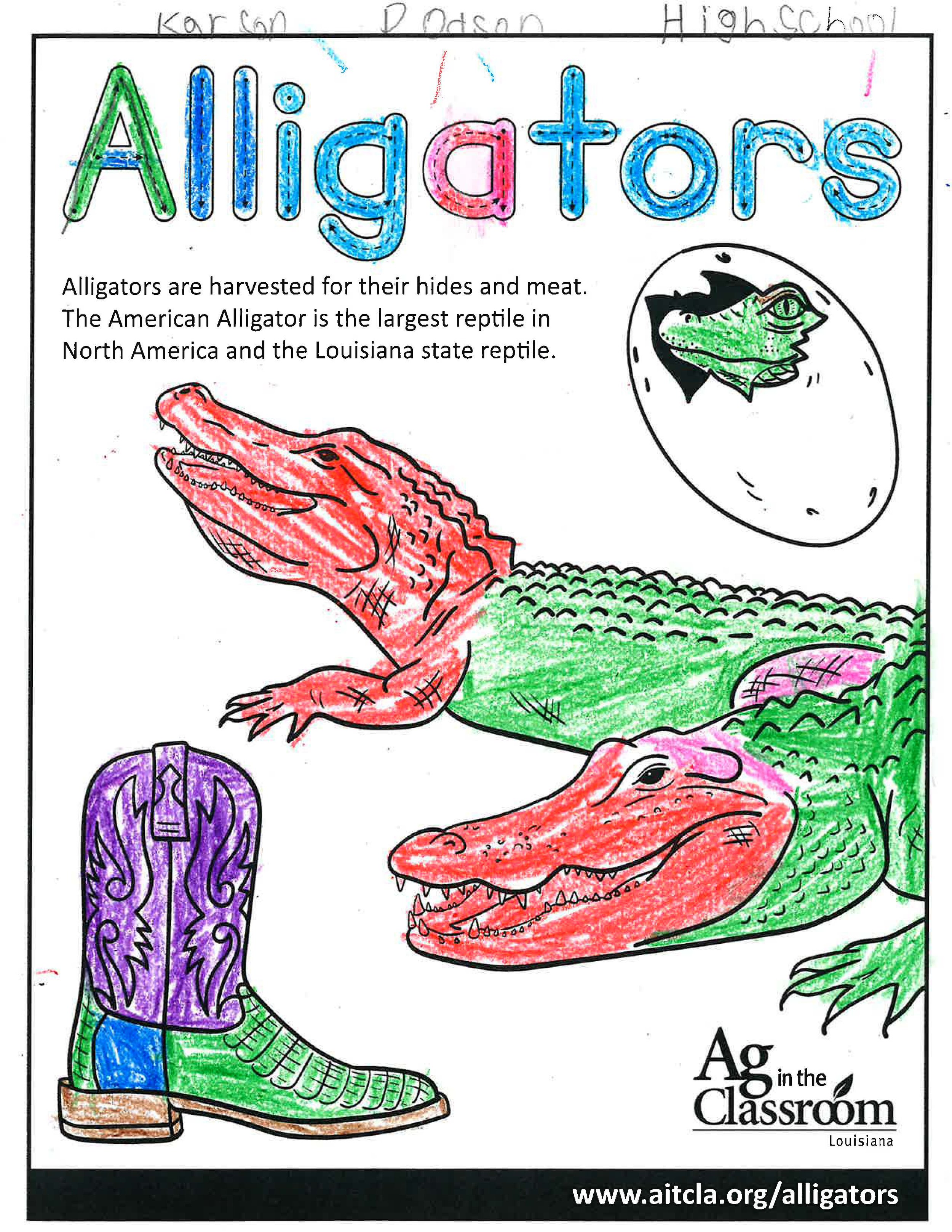 Alligators_LouisianaAgWeek2024_Page_08.jpg
