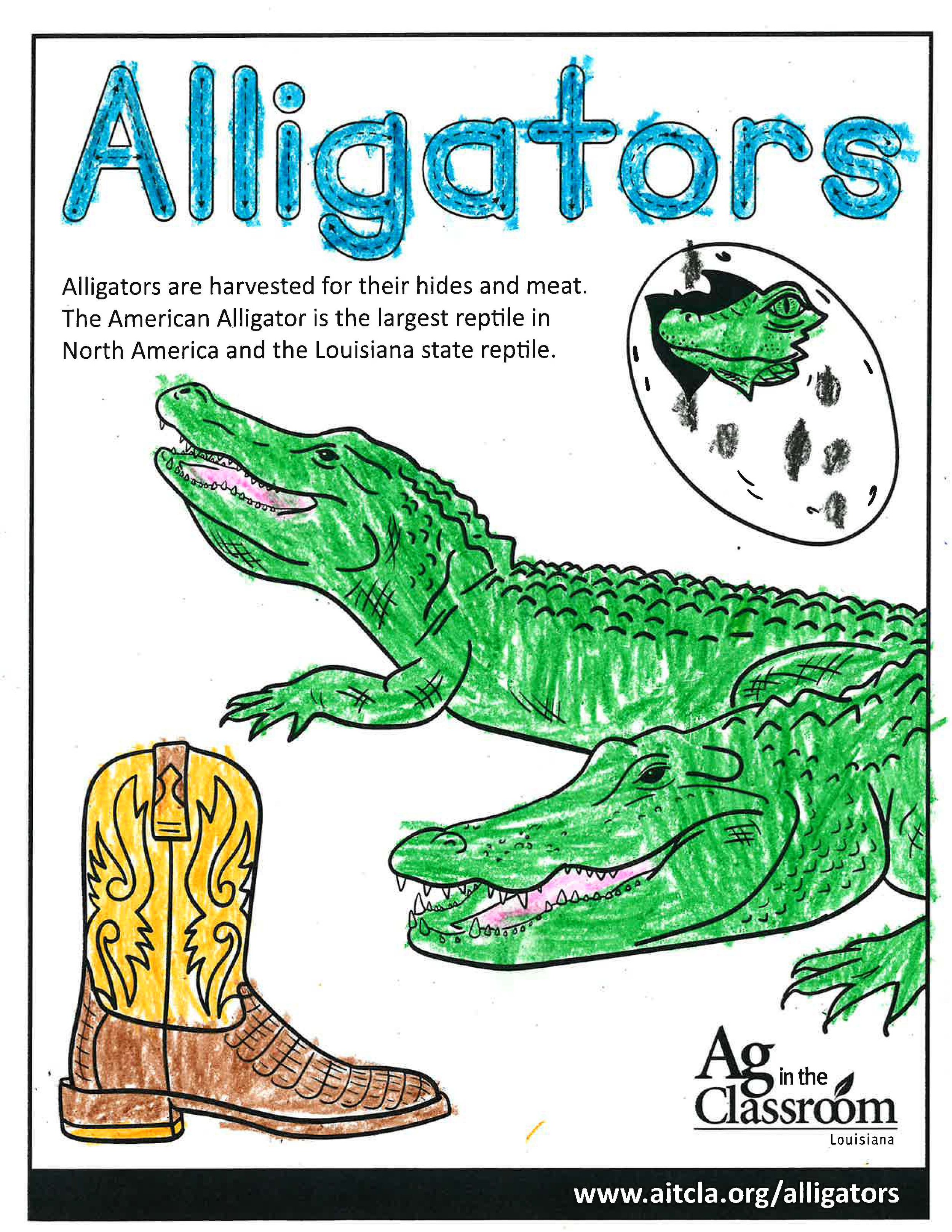 Alligators_LouisianaAgWeek2024_Page_09.jpg