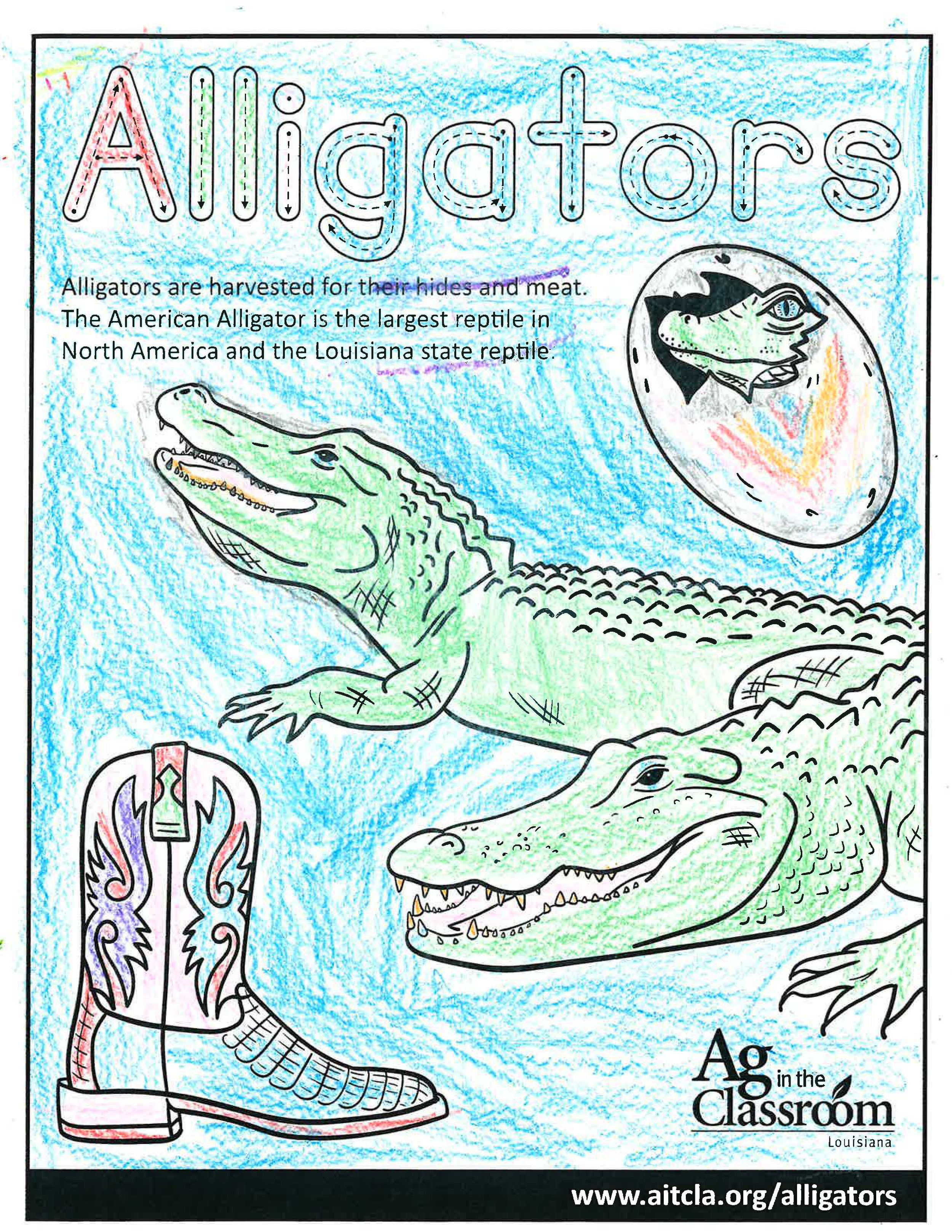 Alligators_LouisianaAgWeek2024_Page_10.jpg
