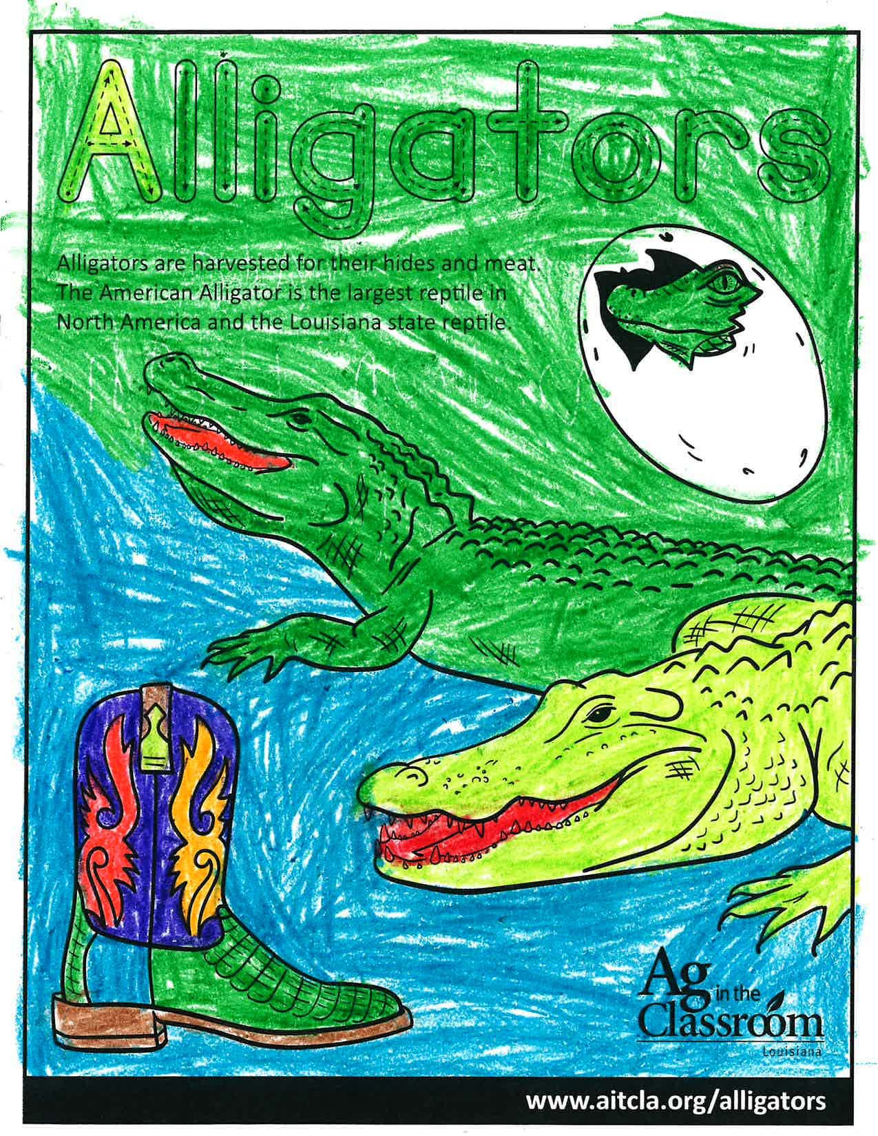 Alligators_LouisianaAgWeek2024_Page_11.jpg