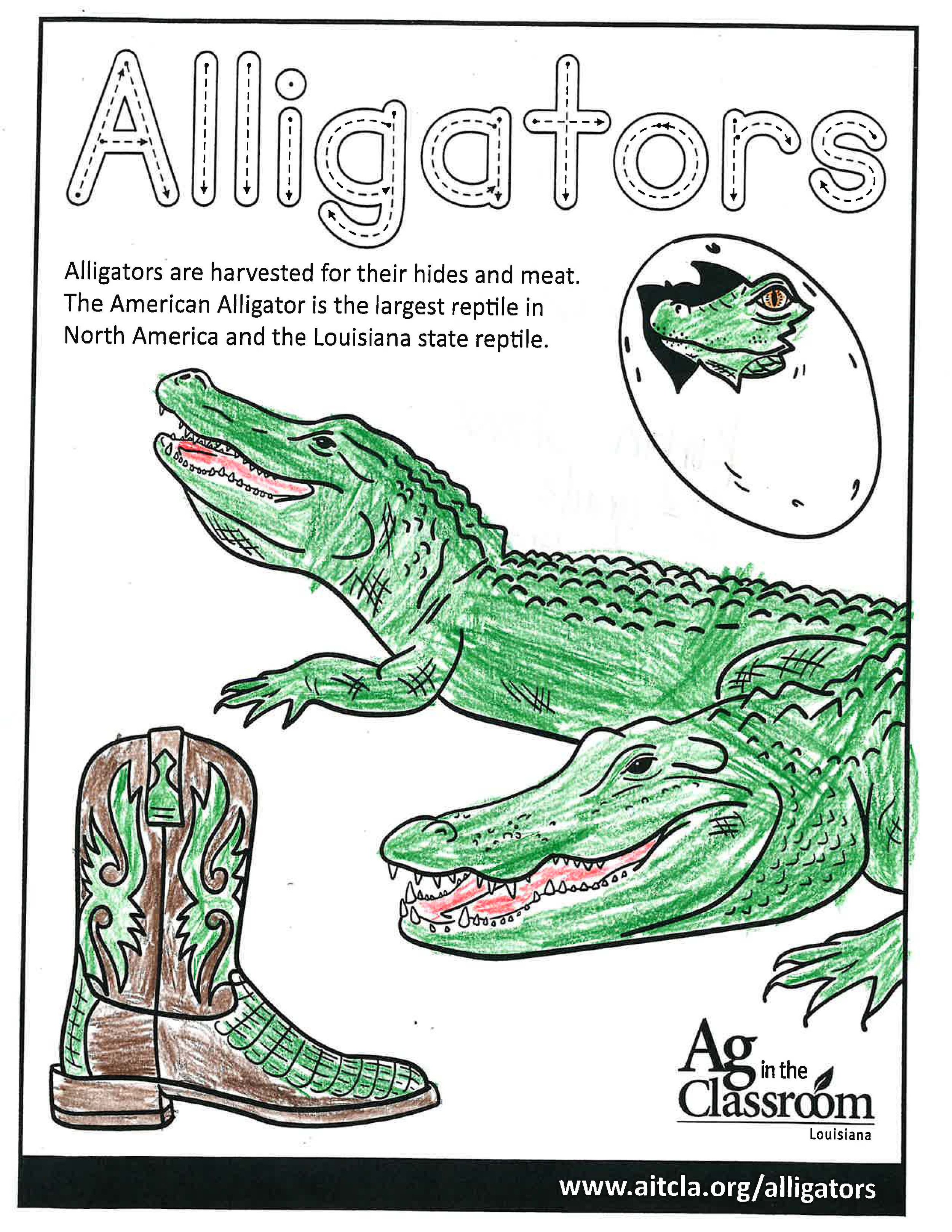 Alligators_LouisianaAgWeek2024_Page_12.jpg