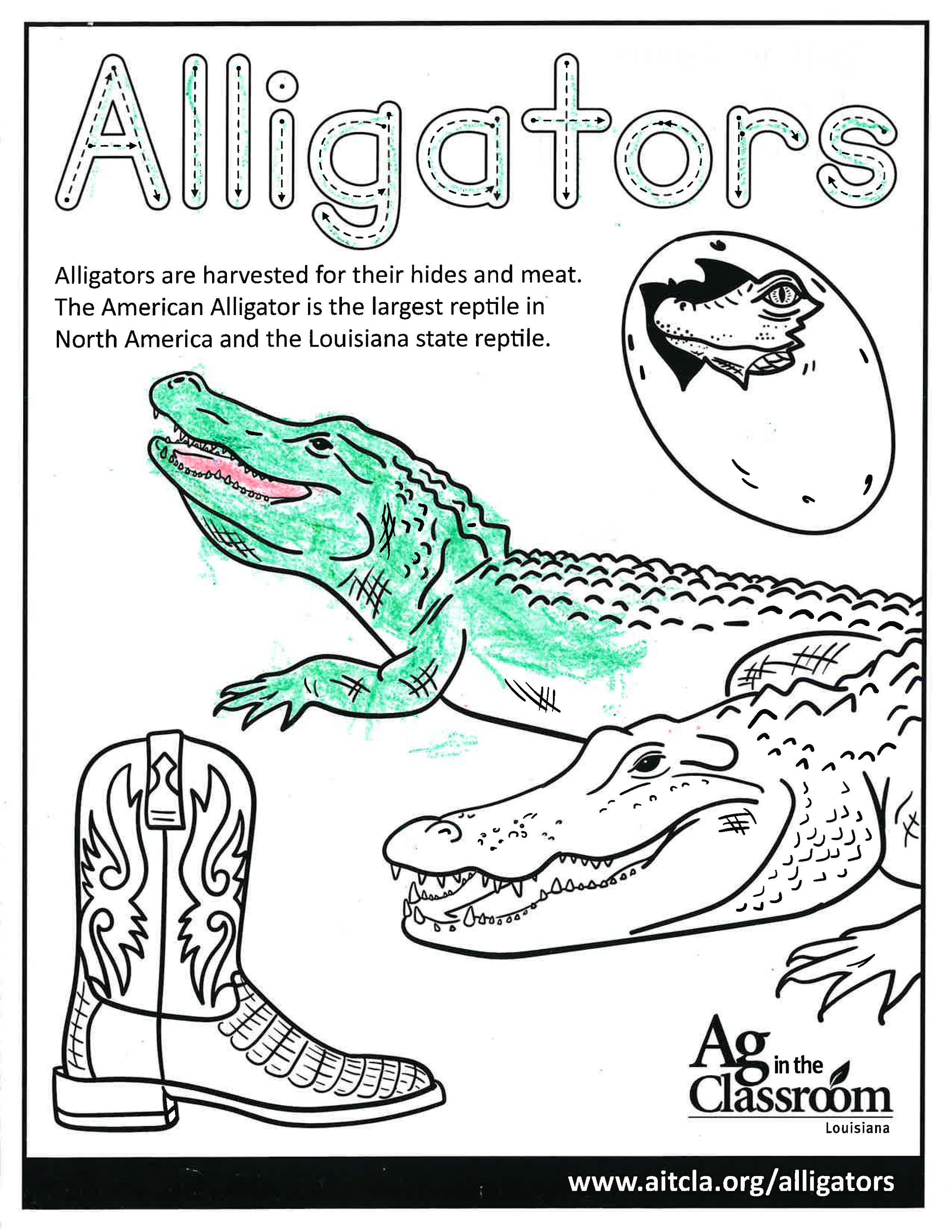 Alligators_LouisianaAgWeek2024_Page_13.jpg