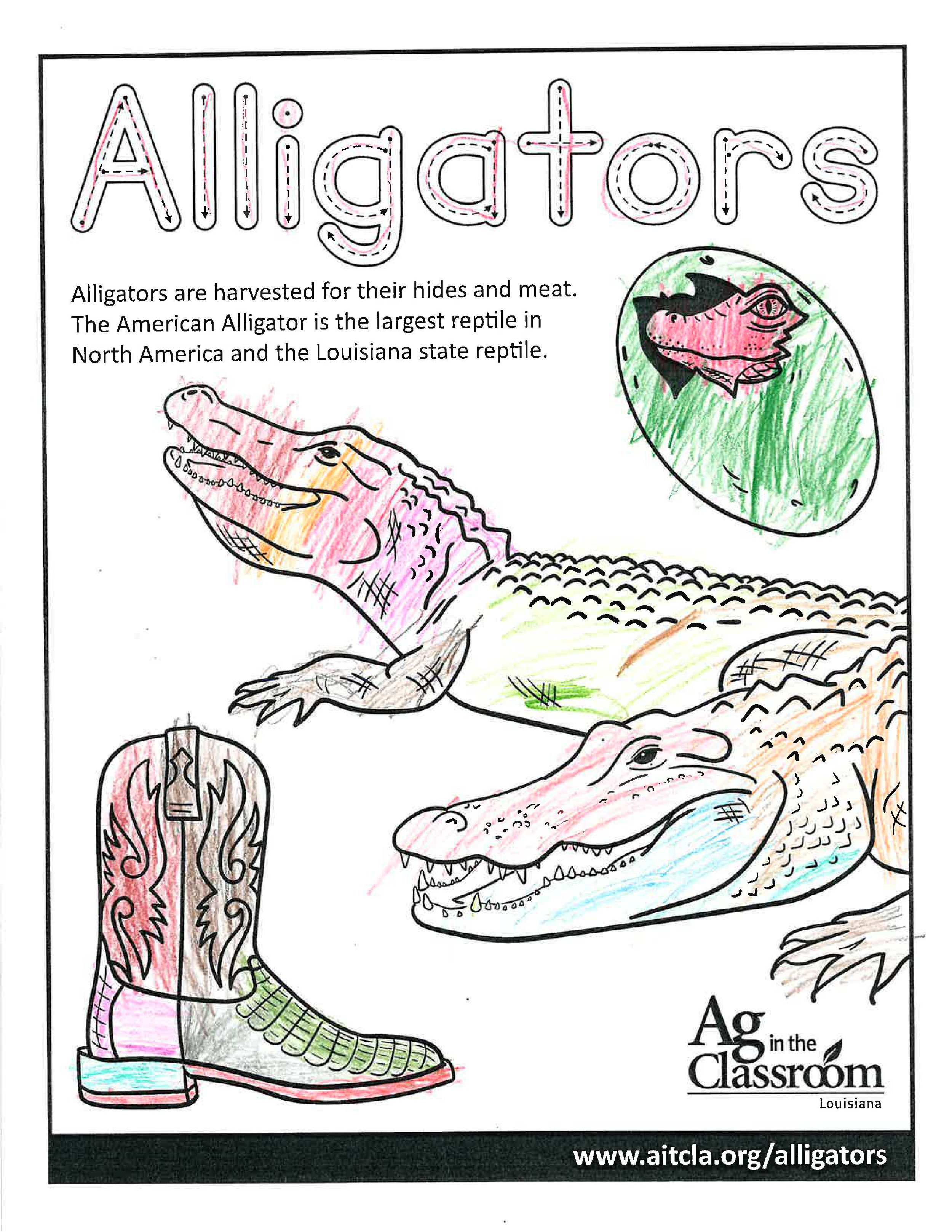 Alligators_LouisianaAgWeek2024_Page_14.jpg