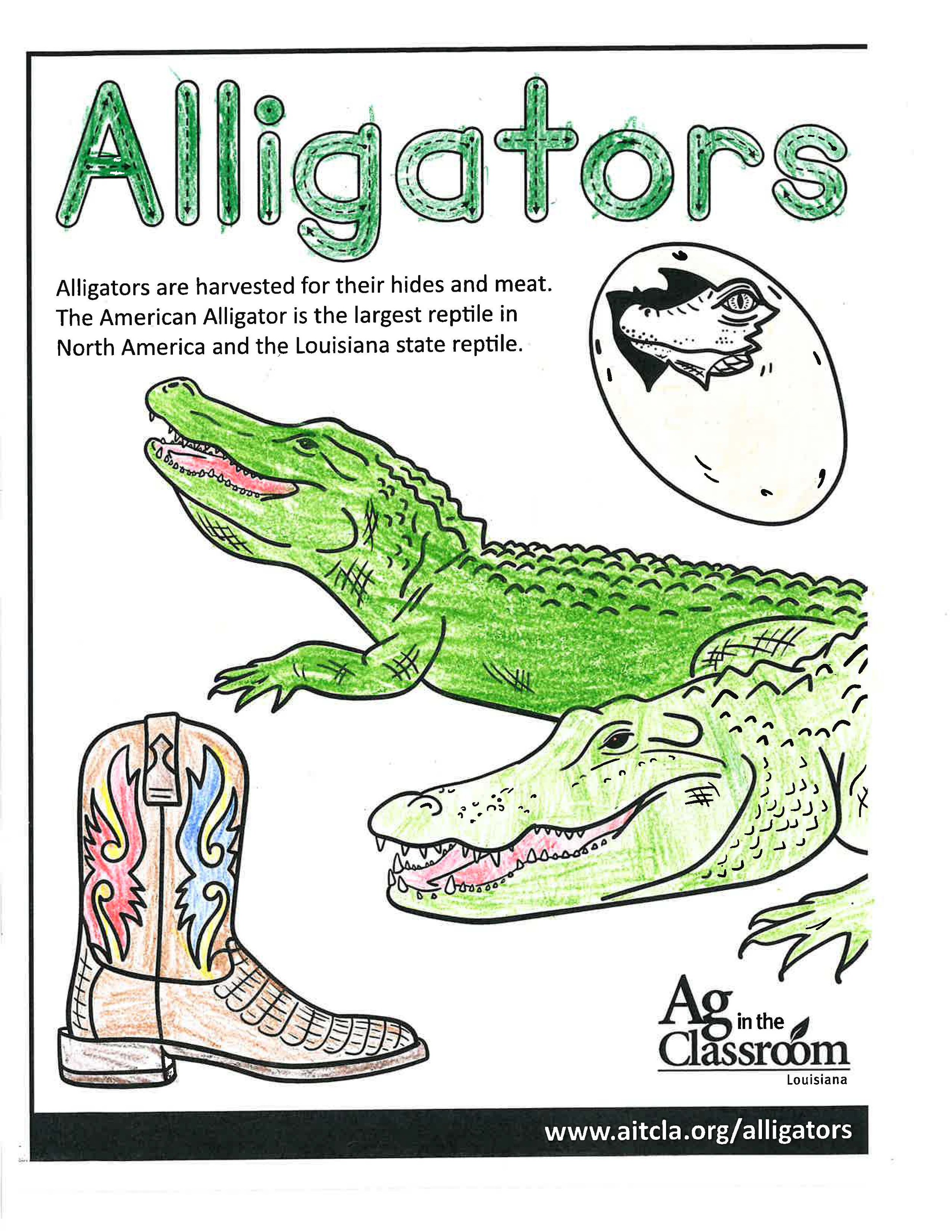 Alligators_LouisianaAgWeek2024_Page_15.jpg