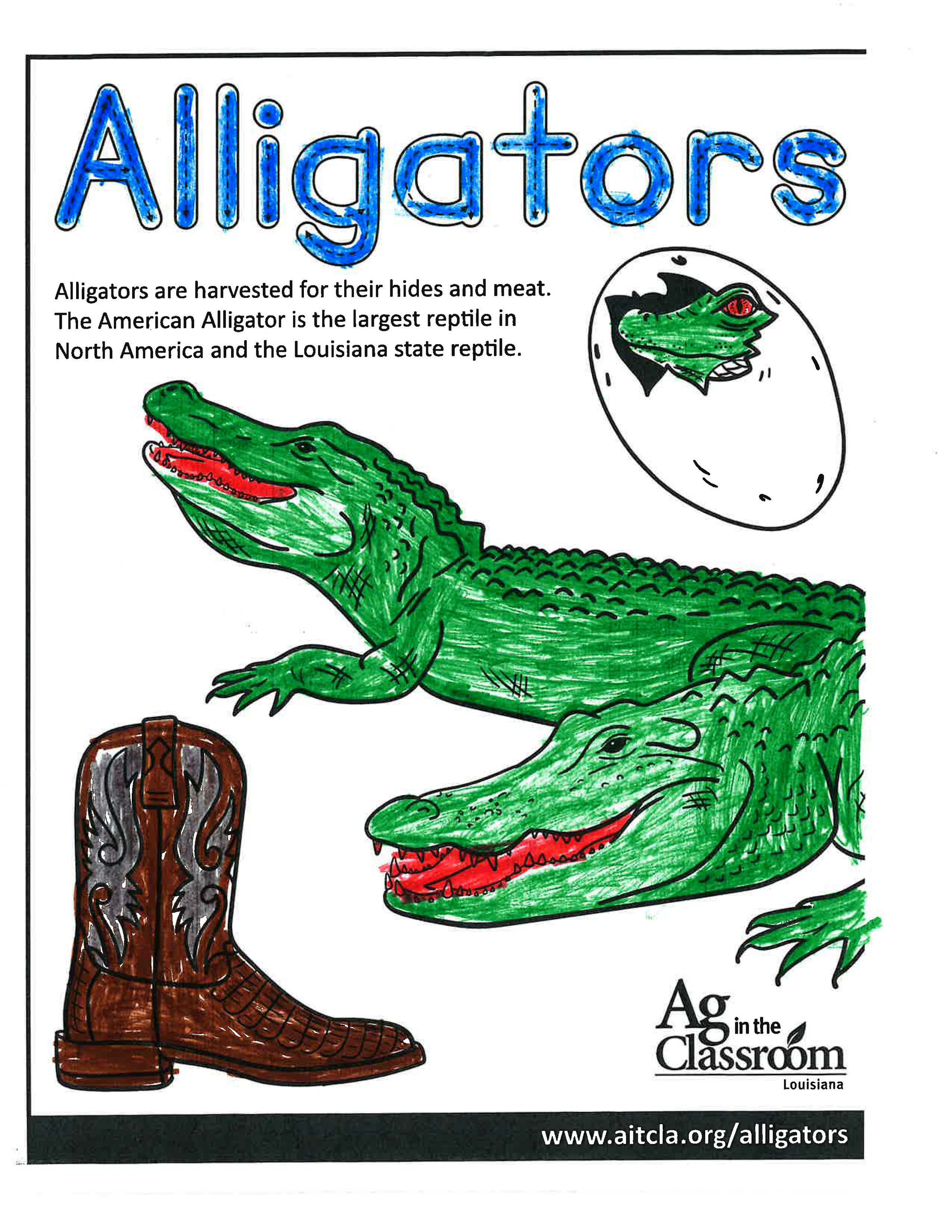 Alligators_LouisianaAgWeek2024_Page_16.jpg