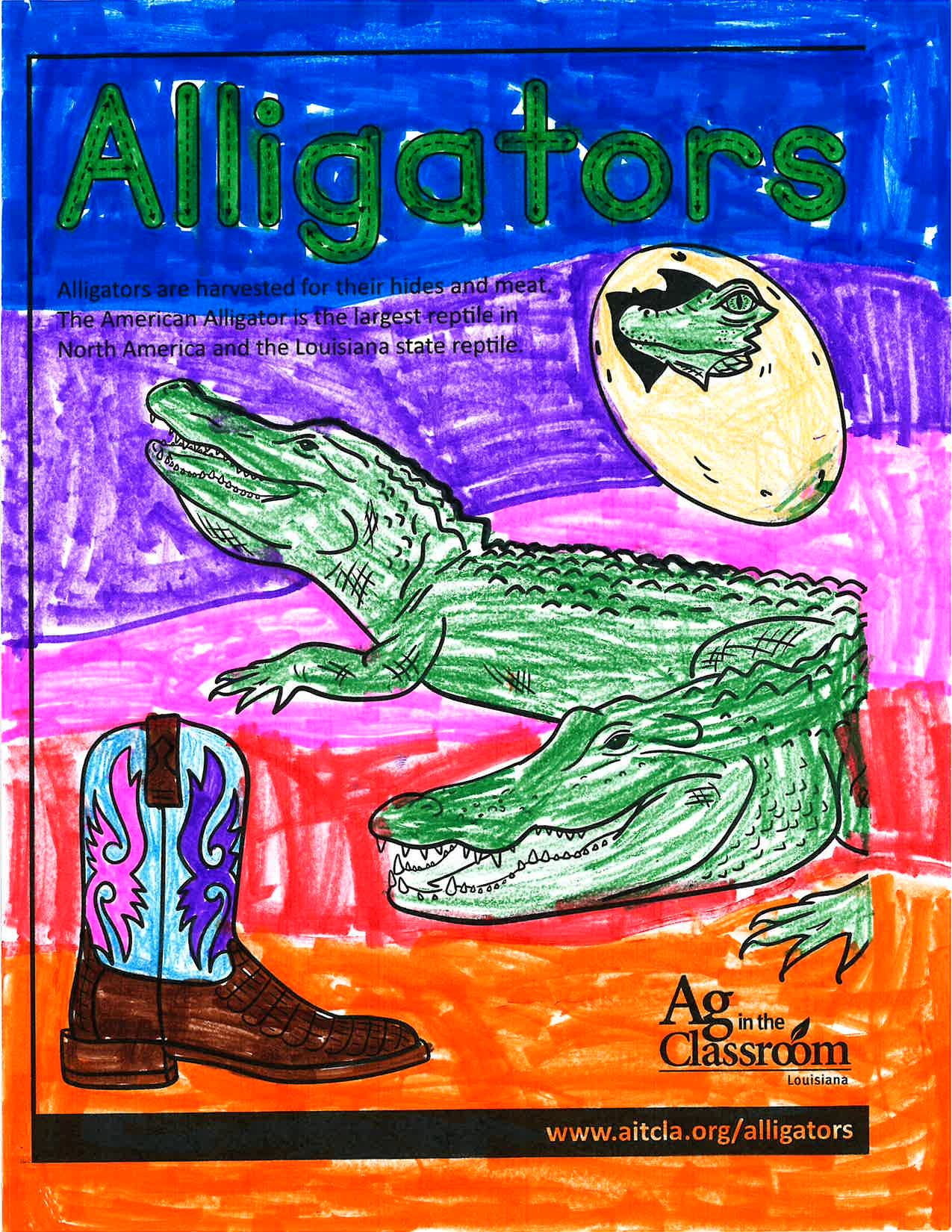 Alligators_LouisianaAgWeek2024_Page_18.jpg