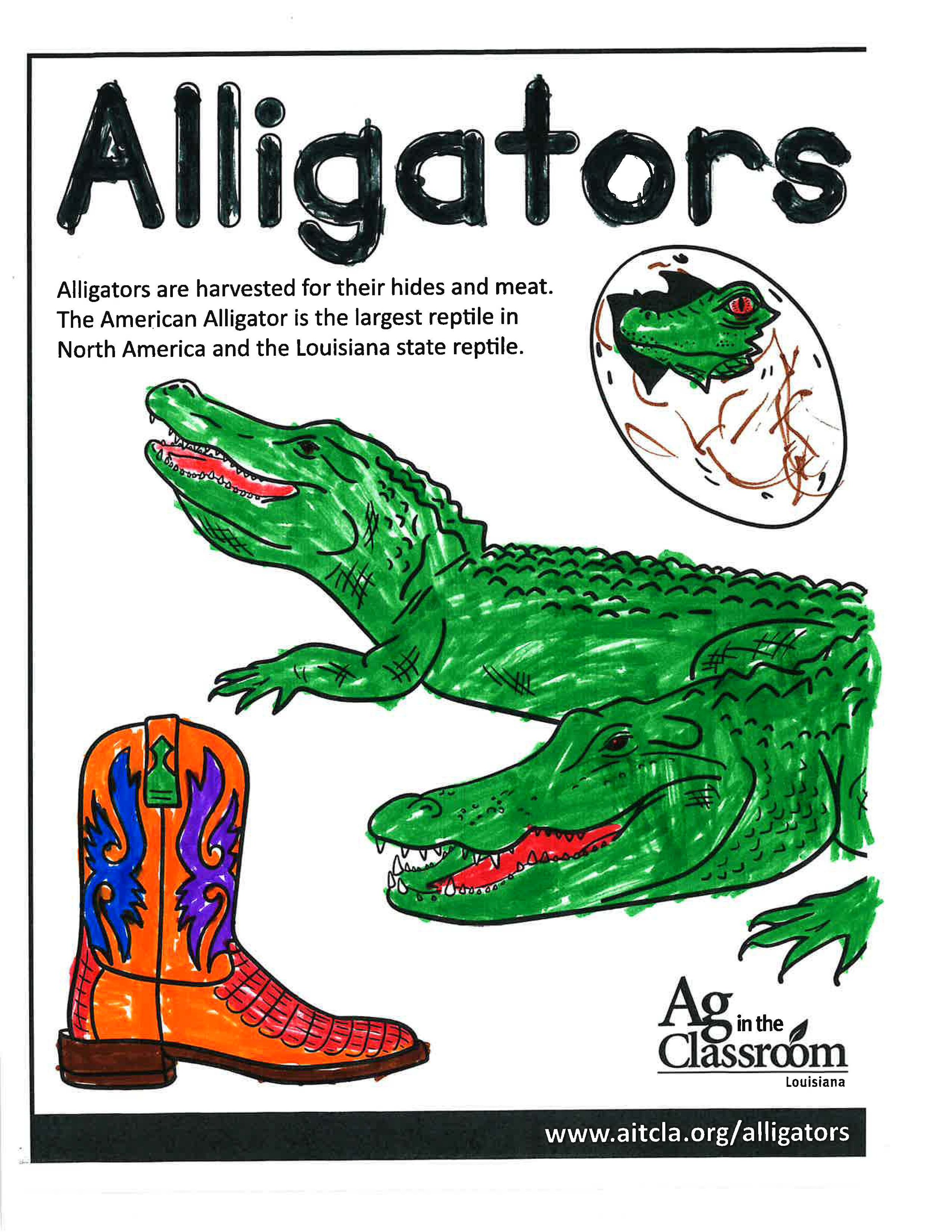 Alligators_LouisianaAgWeek2024_Page_19.jpg