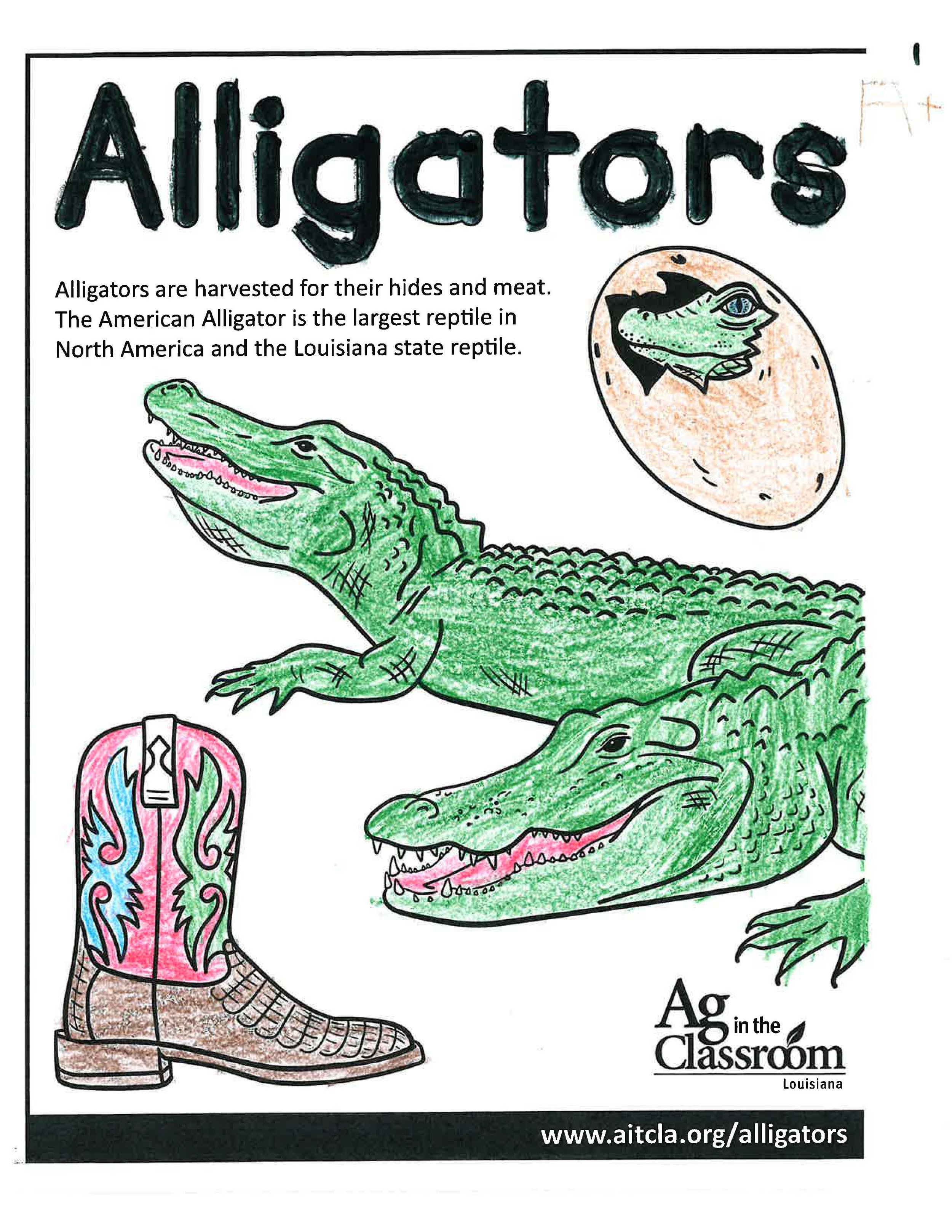 Alligators_LouisianaAgWeek2024_Page_20.jpg