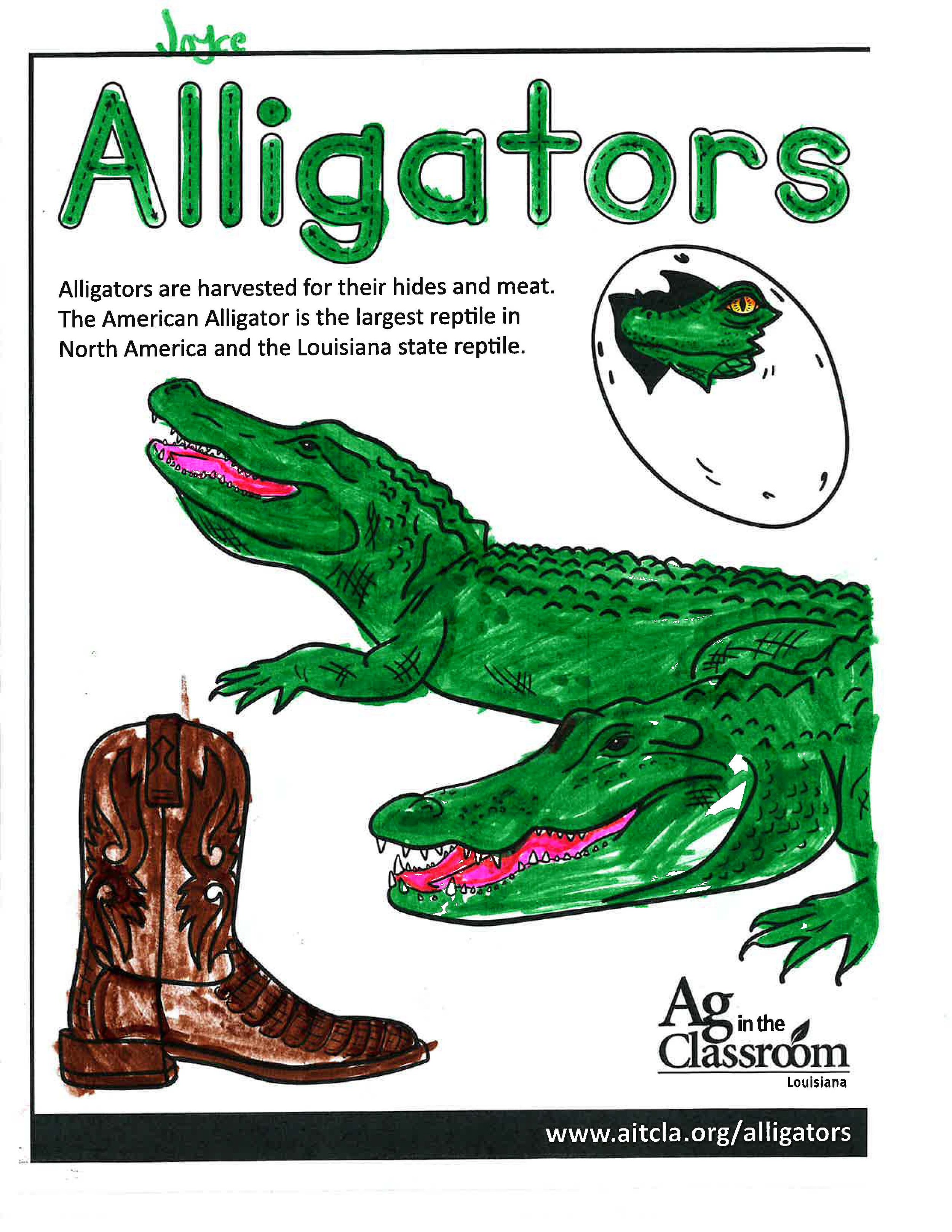 Alligators_LouisianaAgWeek2024_Page_21.jpg
