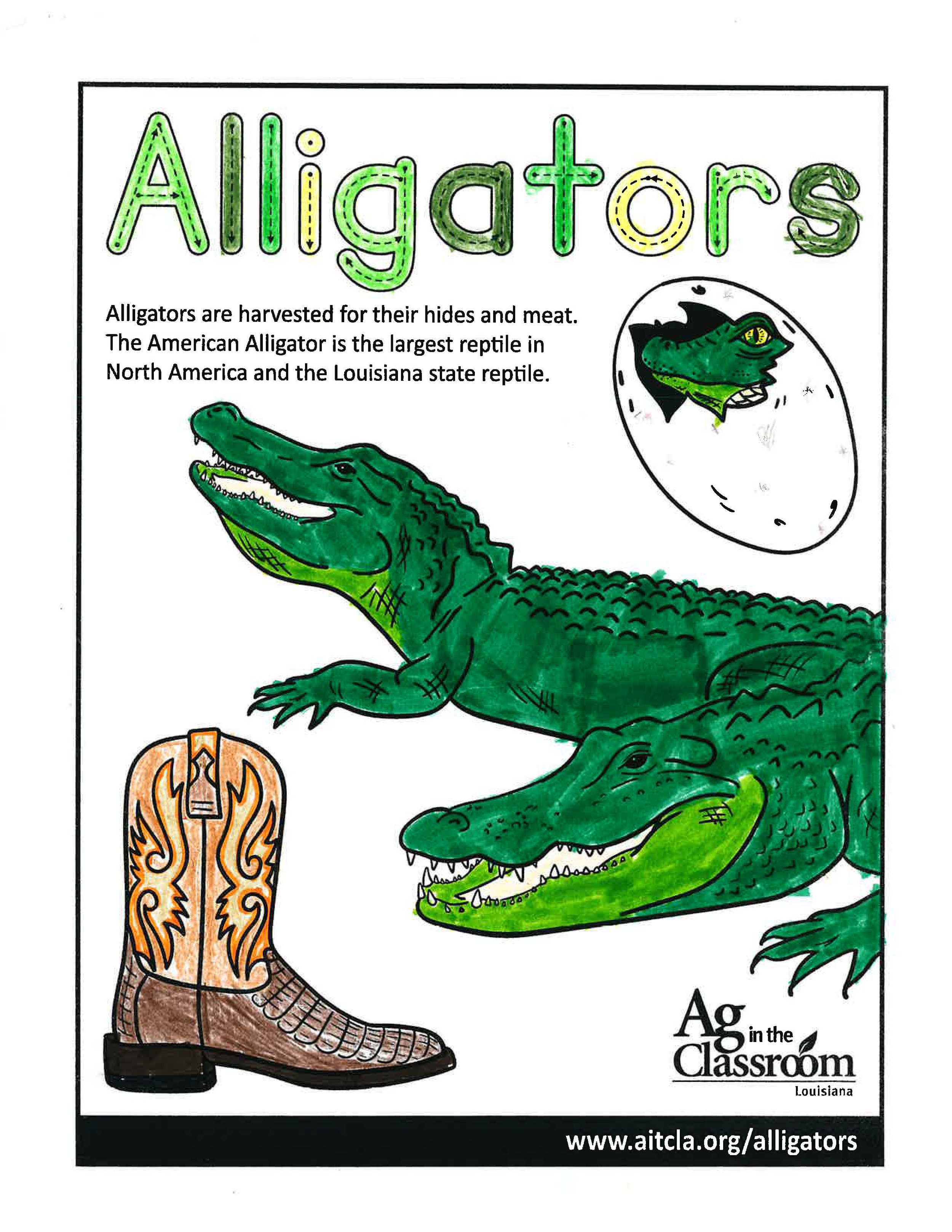 Alligators_LouisianaAgWeek2024_Page_22.jpg