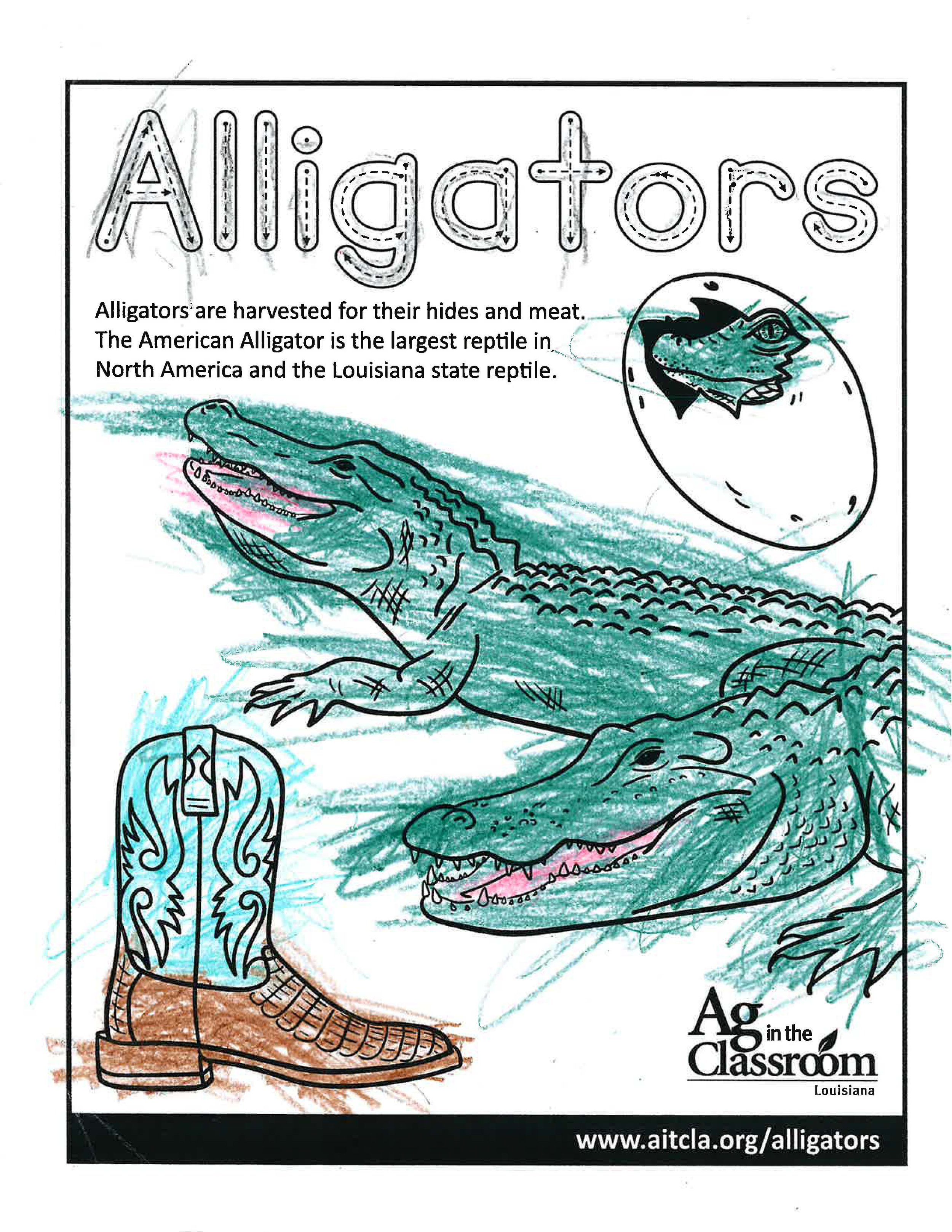 Alligators_LouisianaAgWeek2024_Page_23.jpg