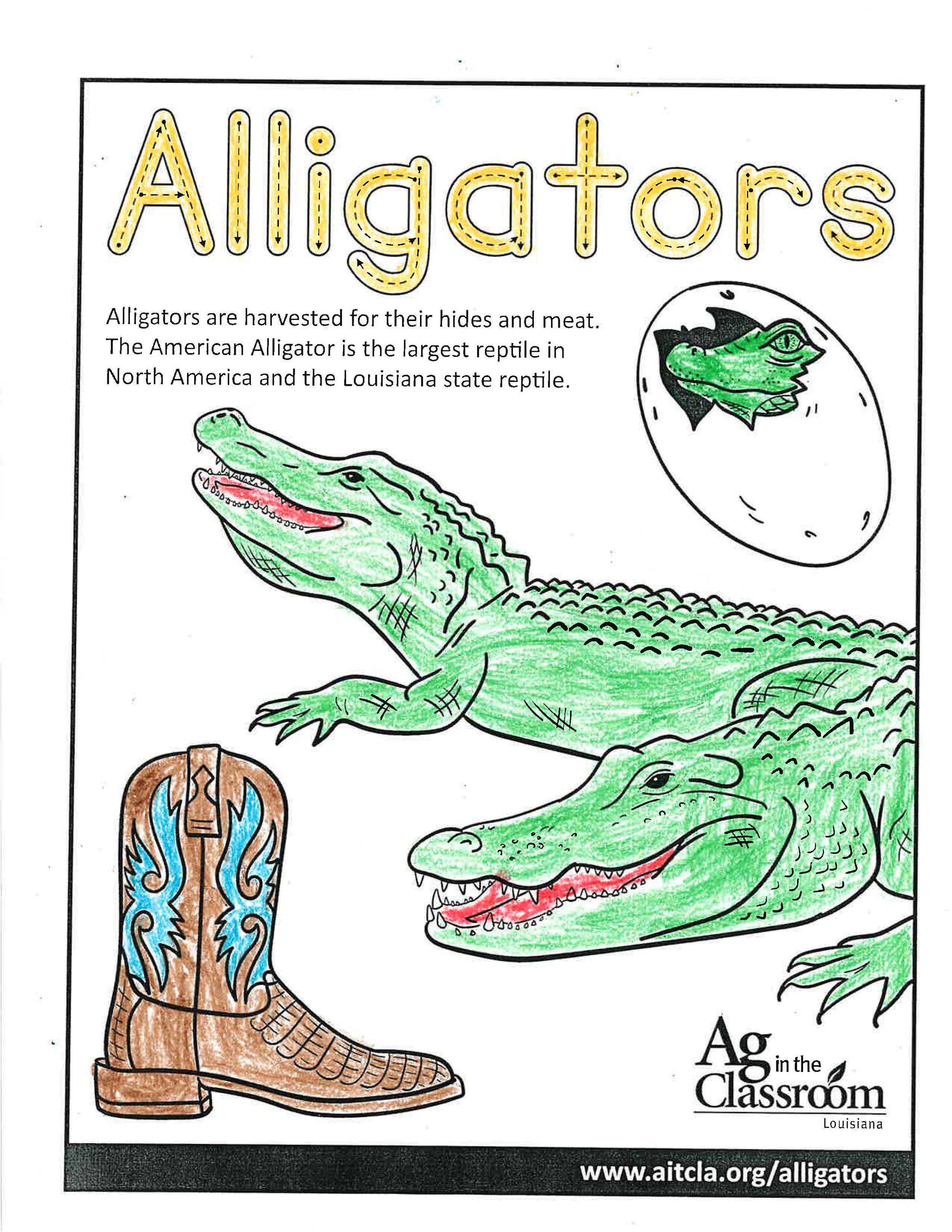 Alligators_LouisianaAgWeek2024_Page_24.jpg