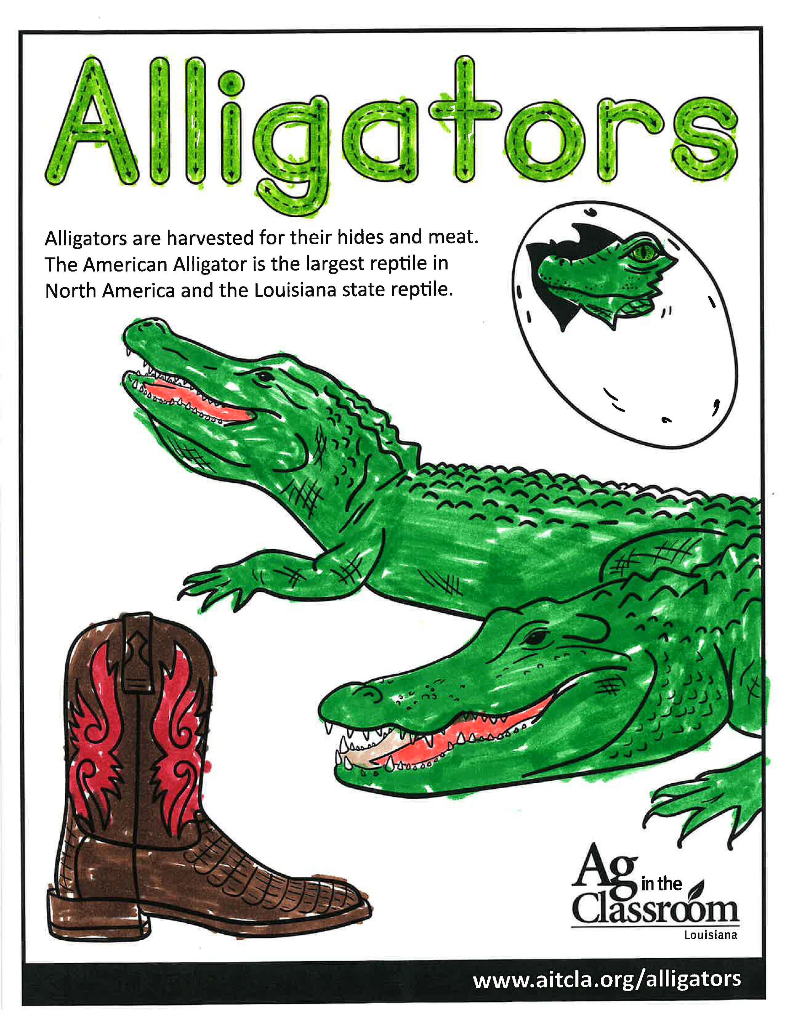 Alligators_LouisianaAgWeek2024_Page_25.jpg