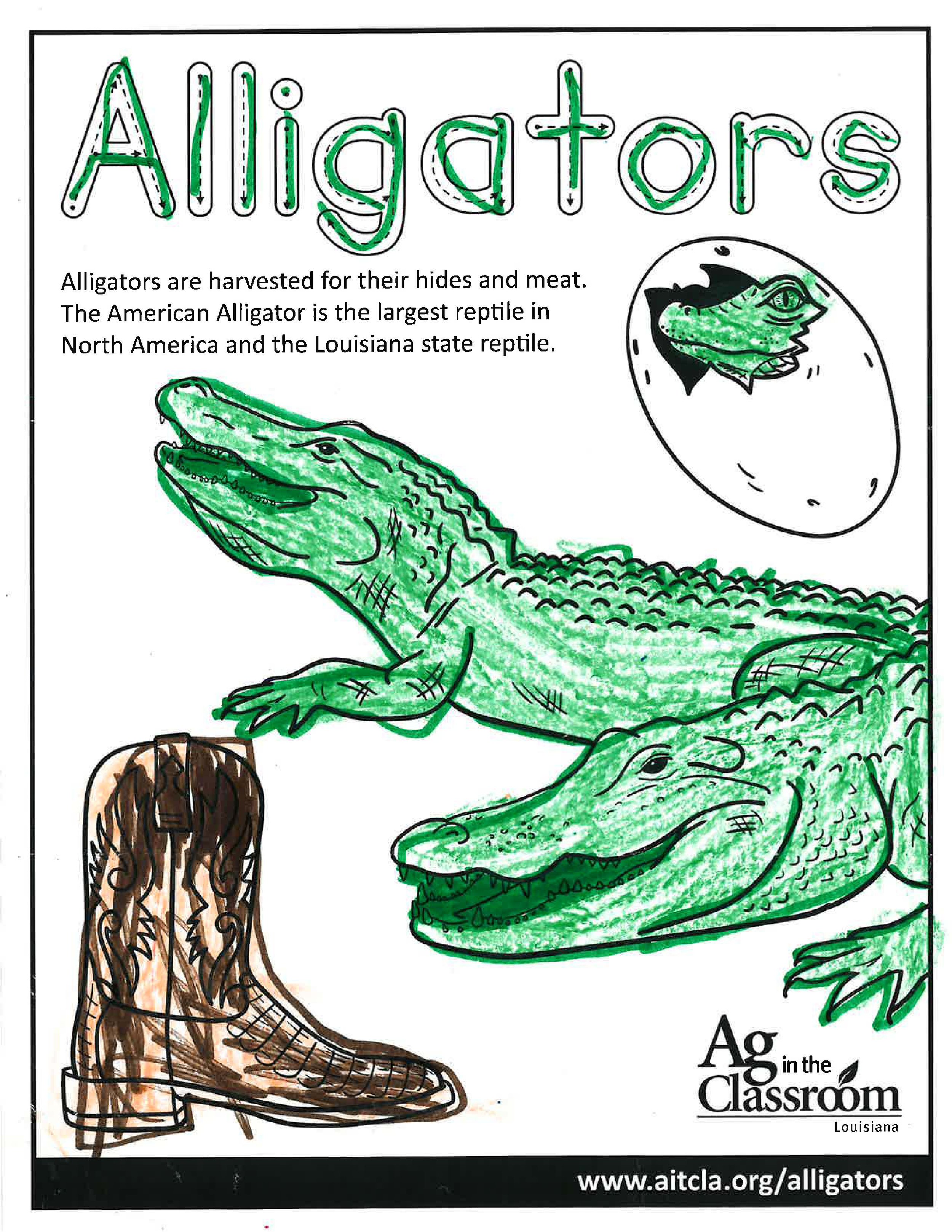 Alligators_LouisianaAgWeek2024_Page_26.jpg