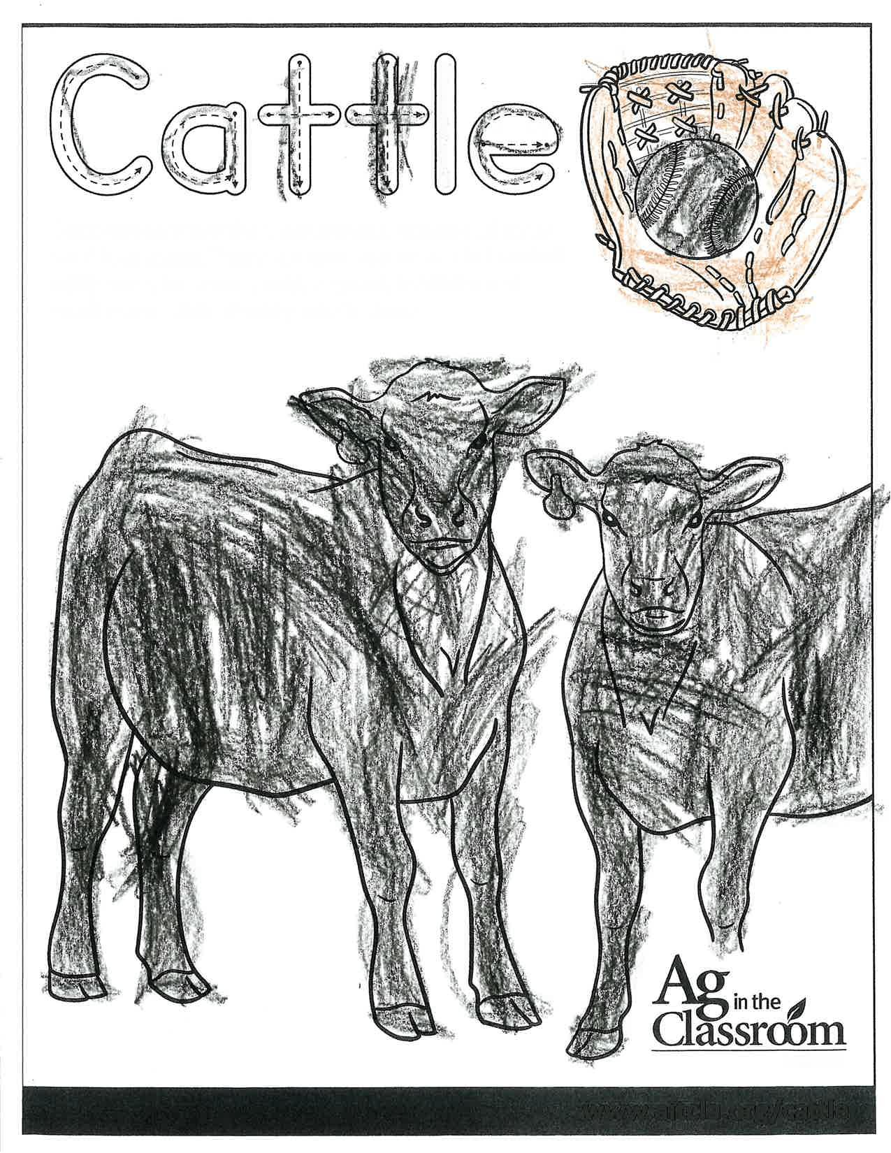 Cattle_LouisianaAgWeek2024_Page_10_Image_0001.jpg