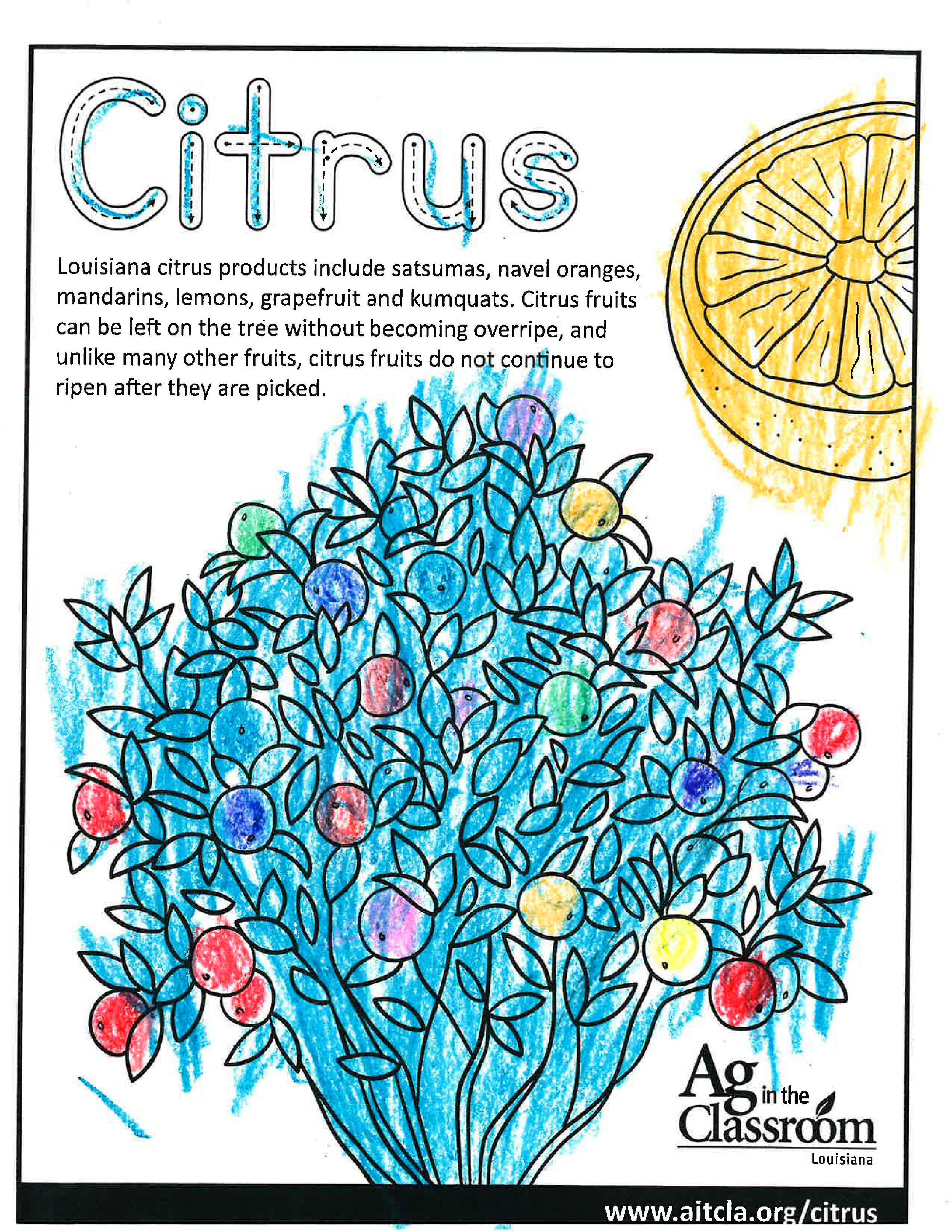 Citrus_LouisianaAgWeek2024_Page_1.jpg
