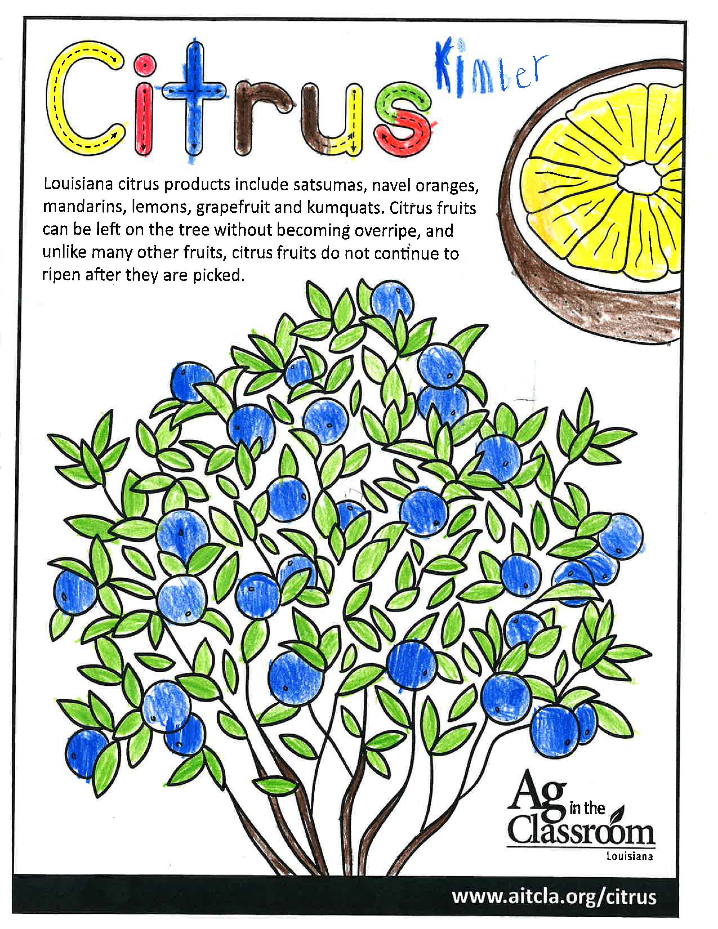 Citrus_LouisianaAgWeek2024_Page_3.jpg
