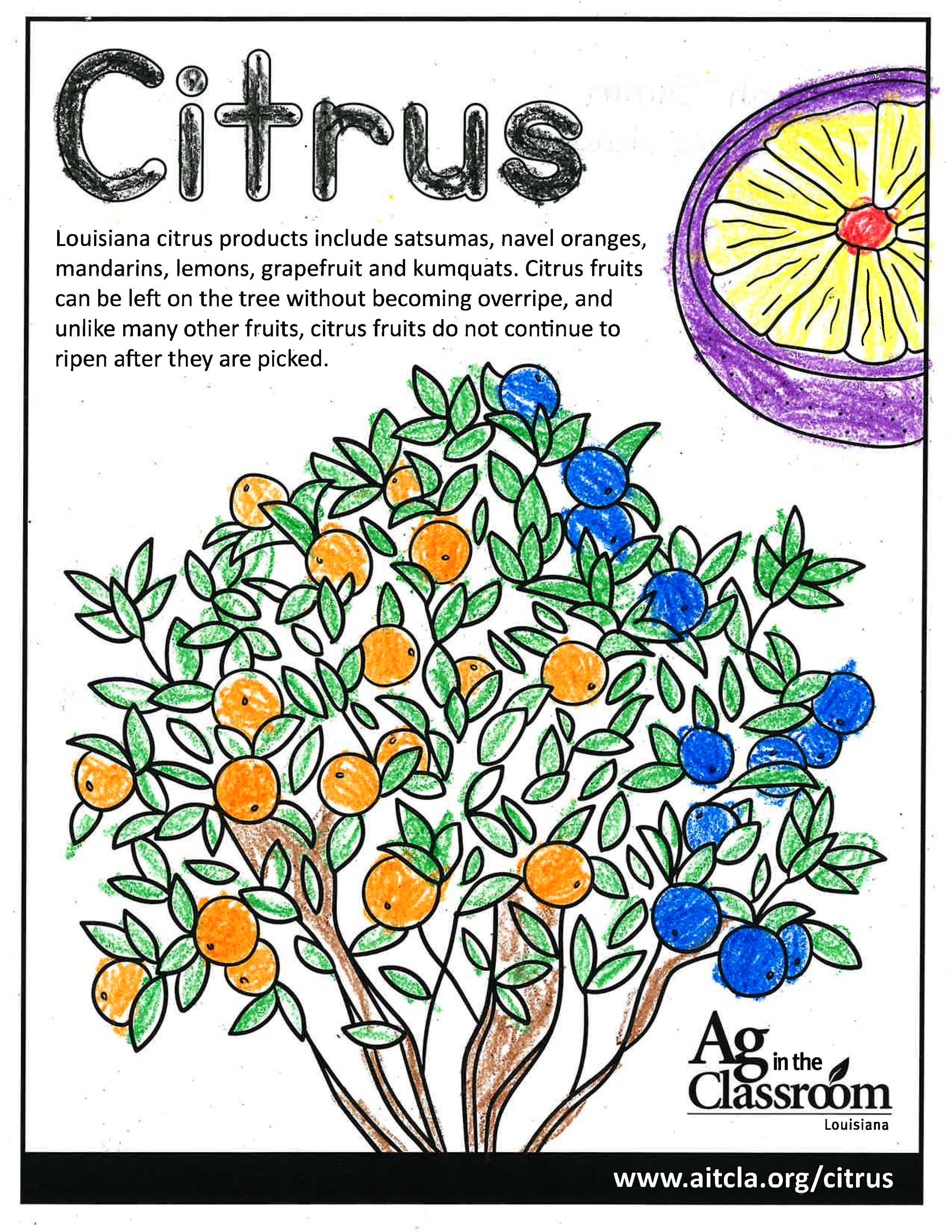 Citrus_LouisianaAgWeek2024_Page_4.jpg