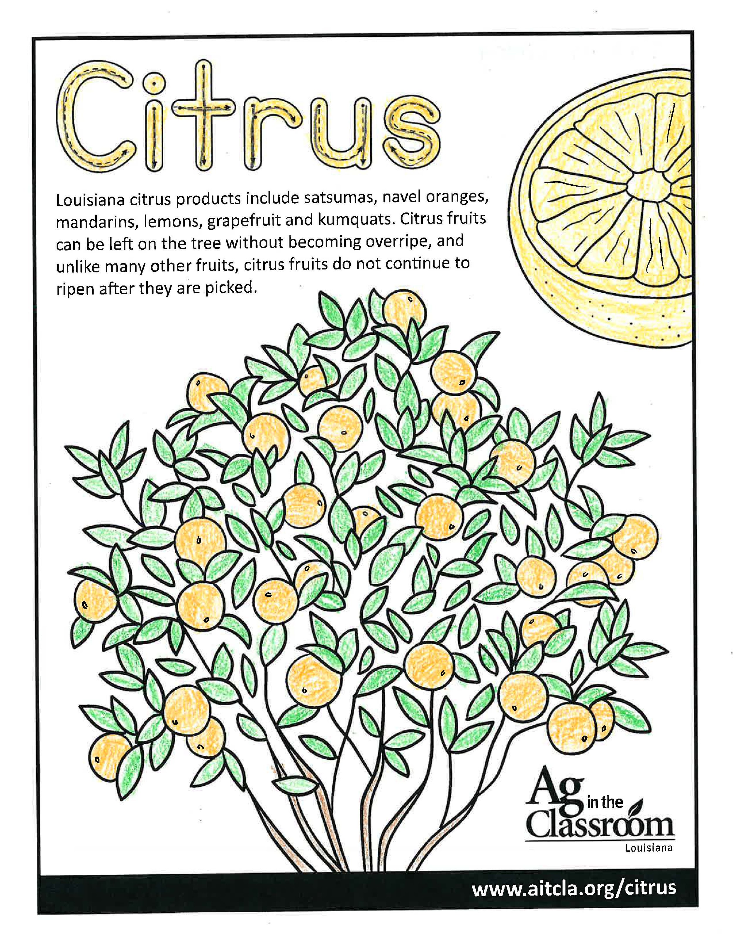 Citrus_LouisianaAgWeek2024_Page_5.jpg